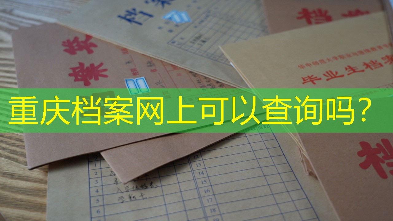 档案查询