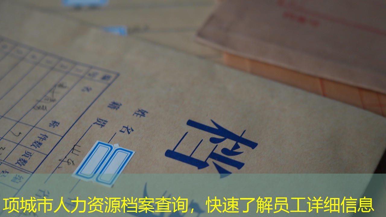 档案查询