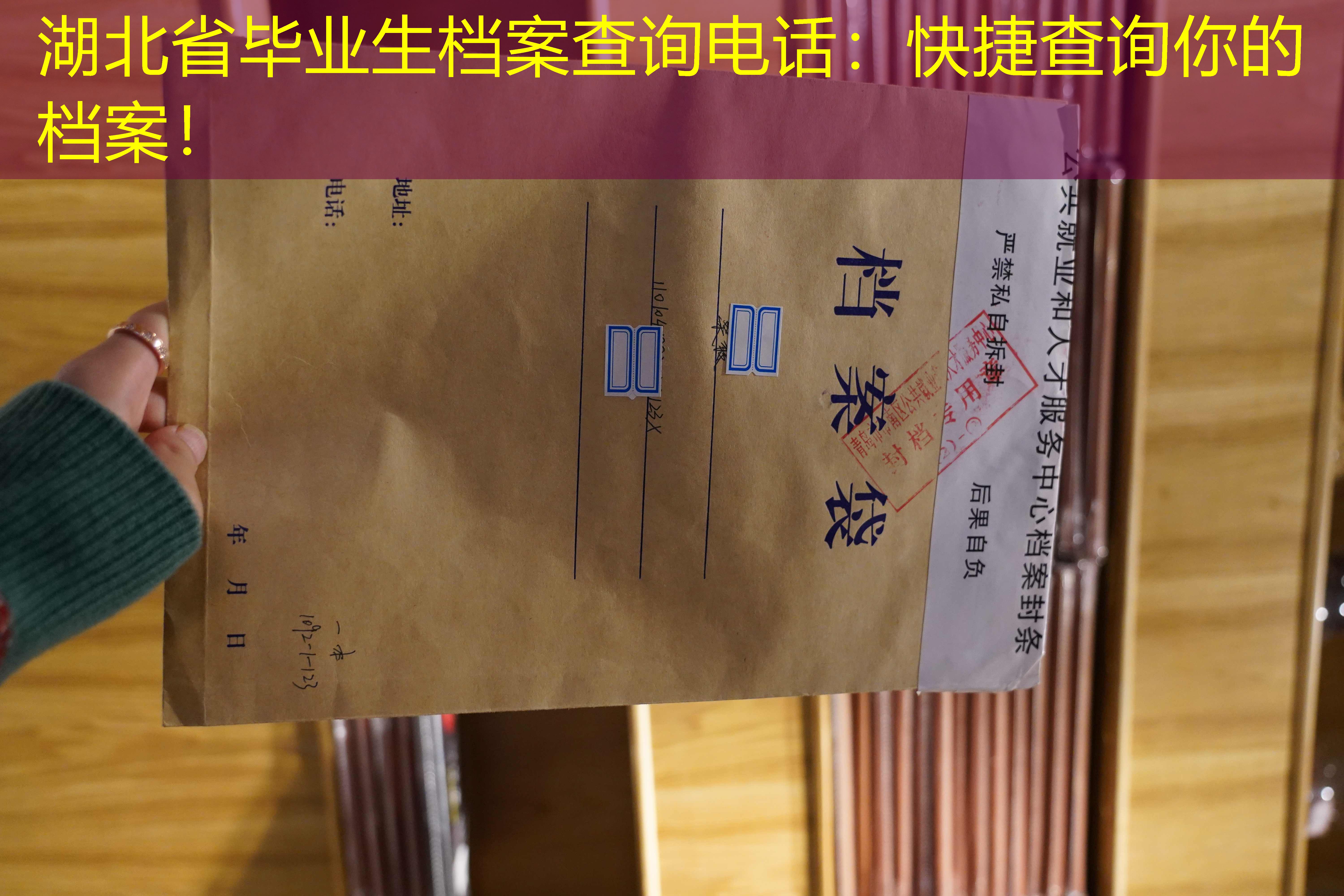档案查询