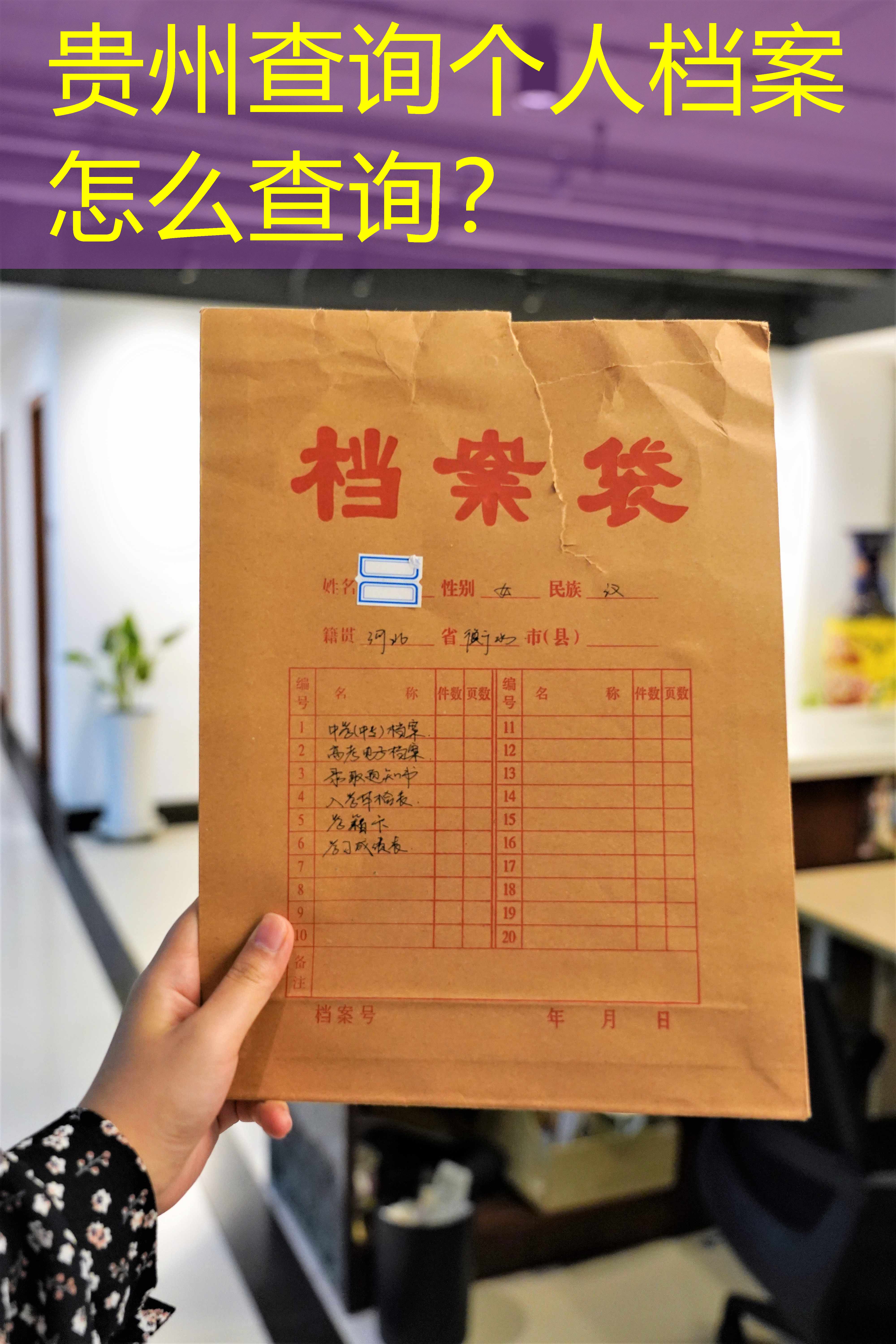 档案查询