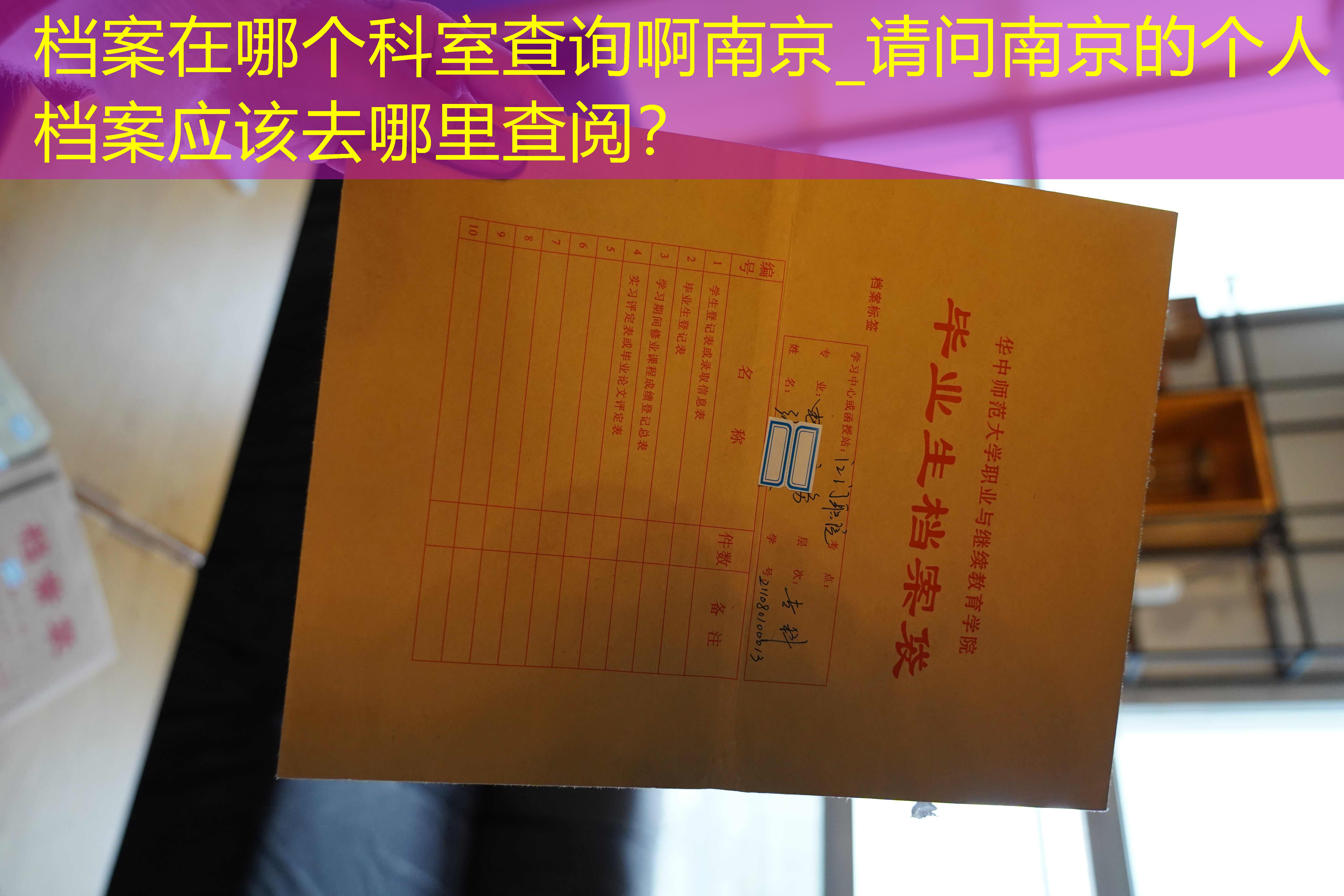档案查询