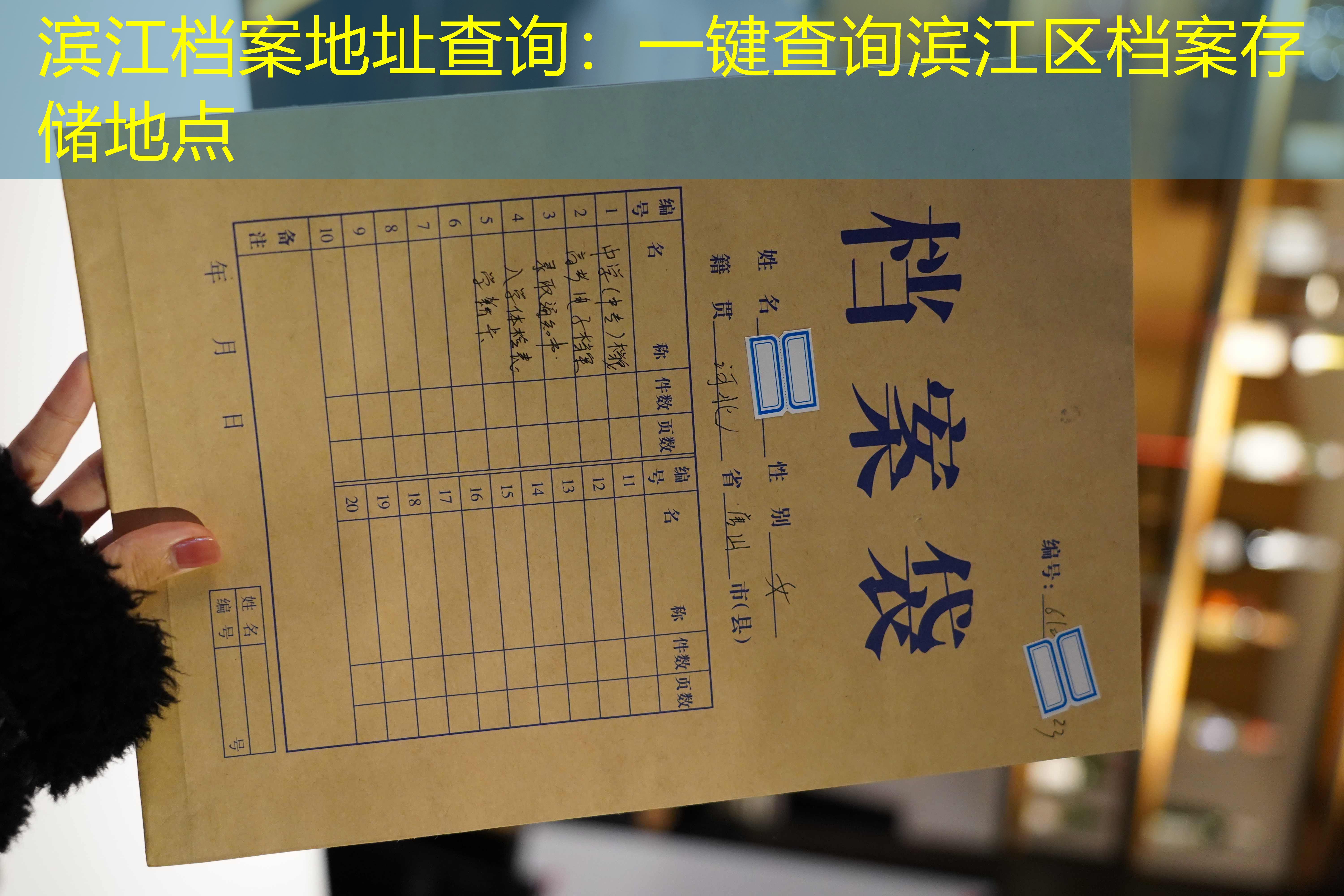 档案查询
