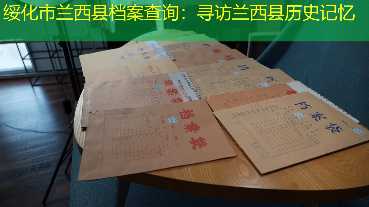 档案查询