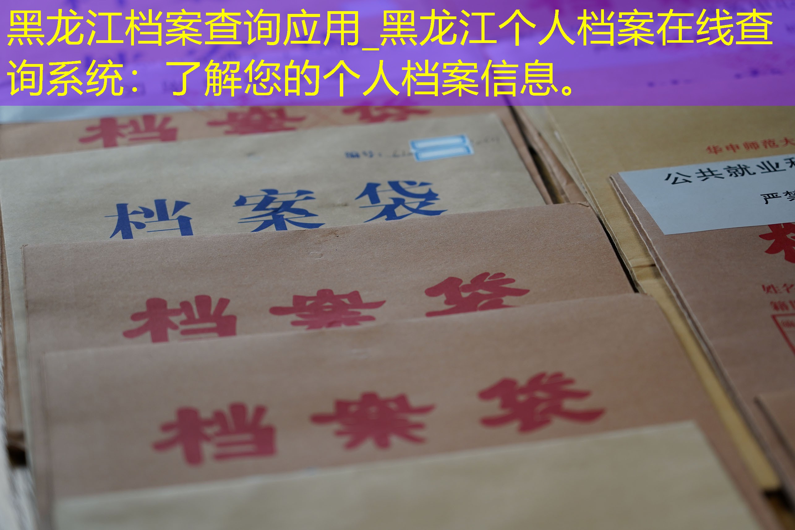 档案查询