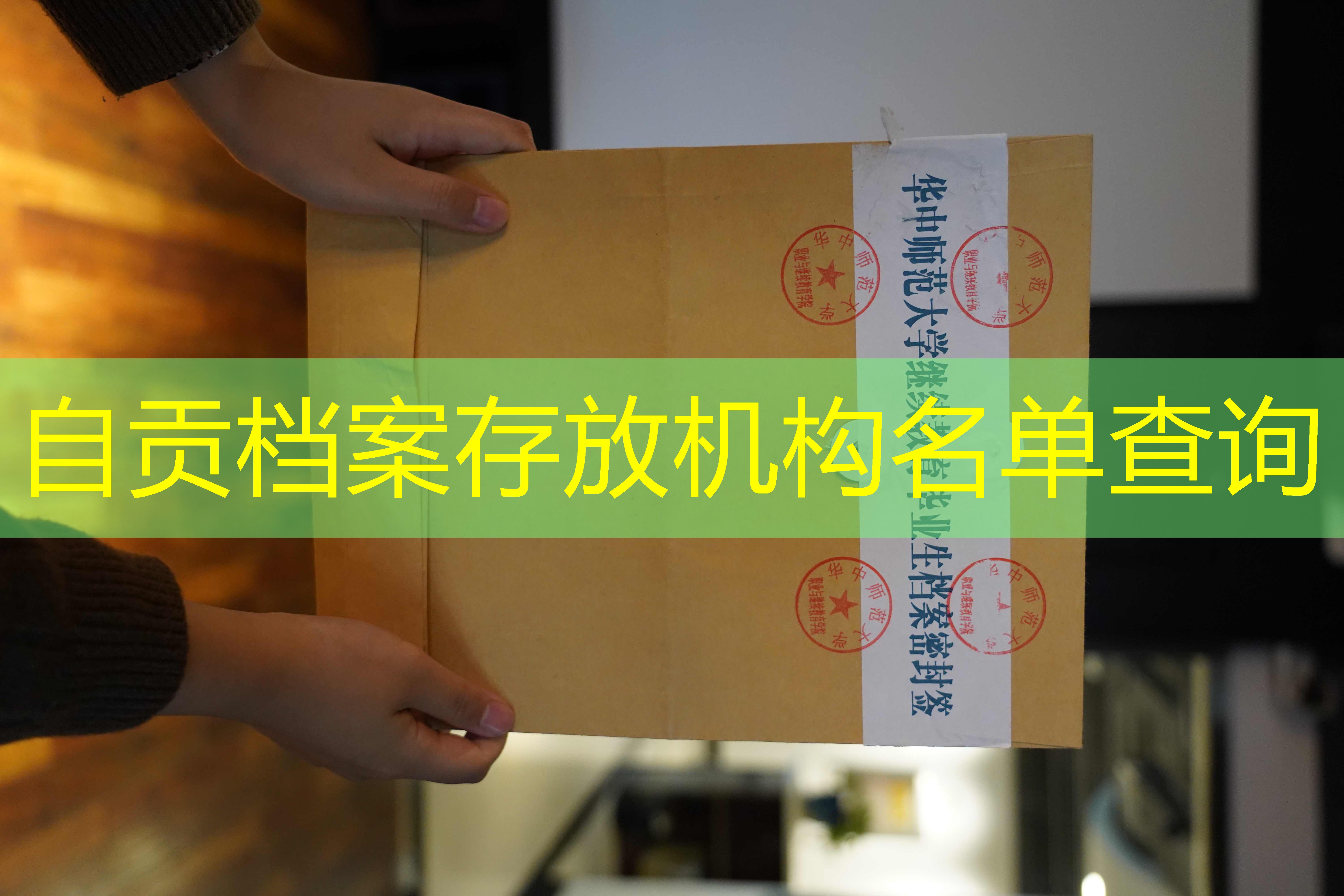 档案查询