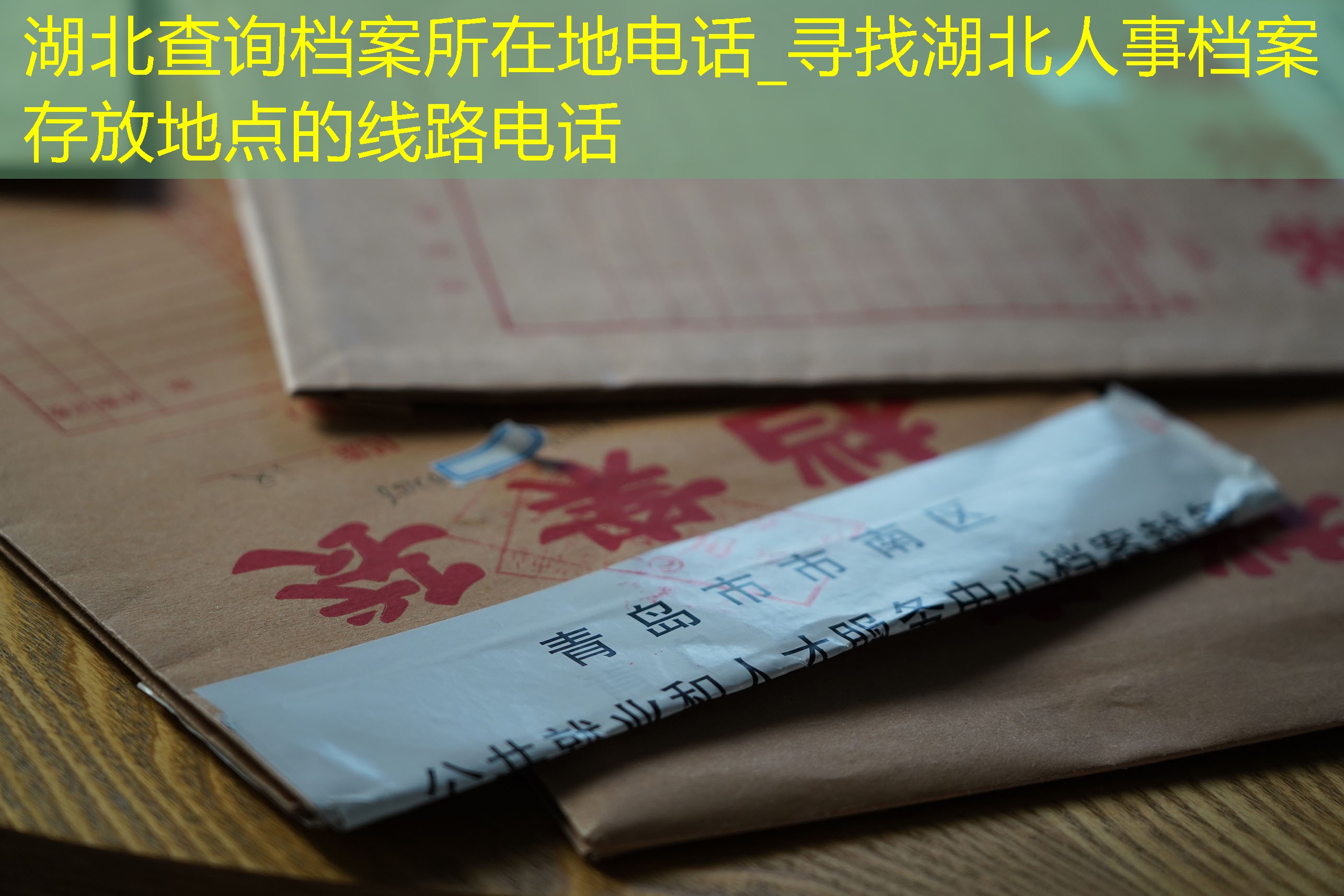 档案查询