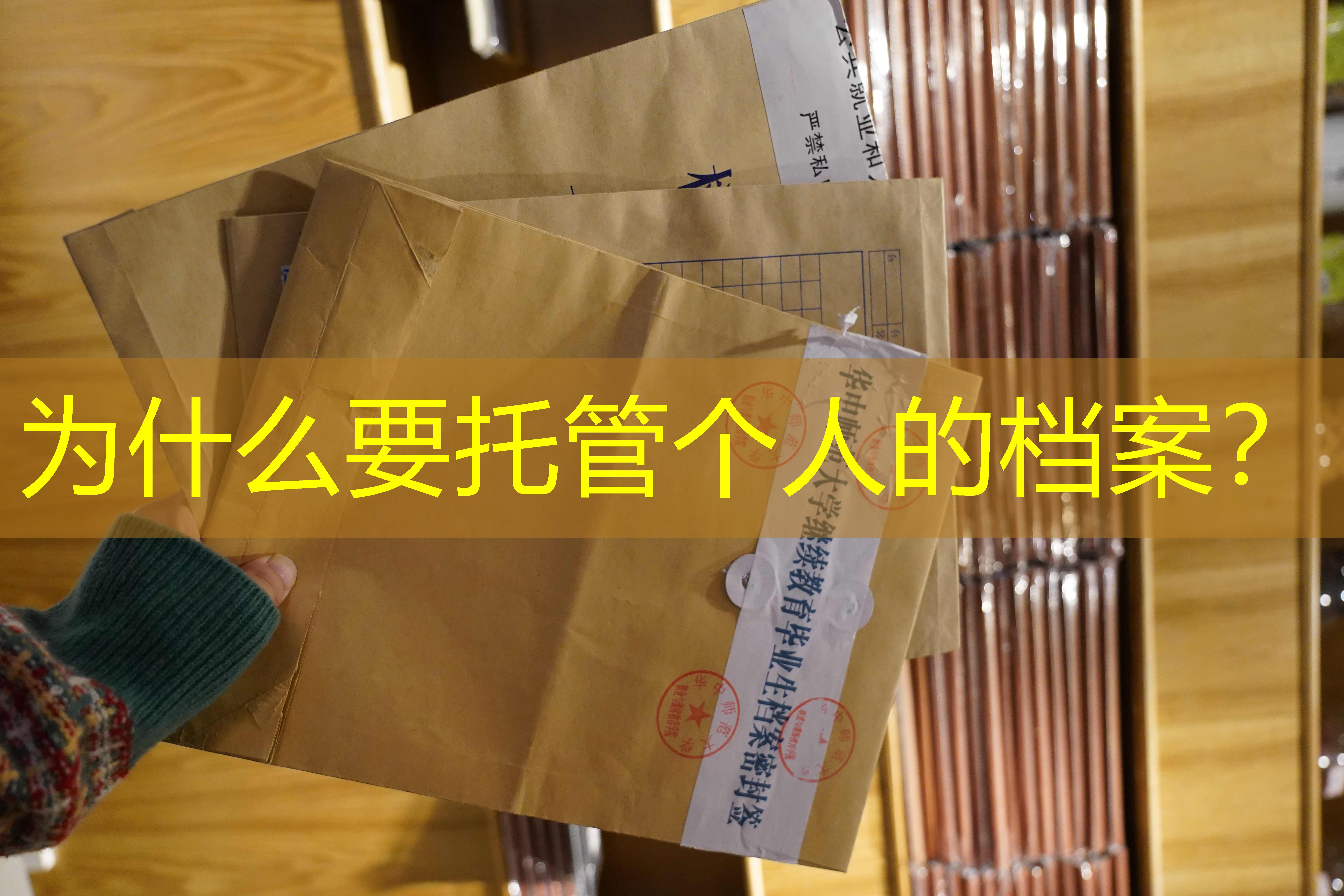 档案查询