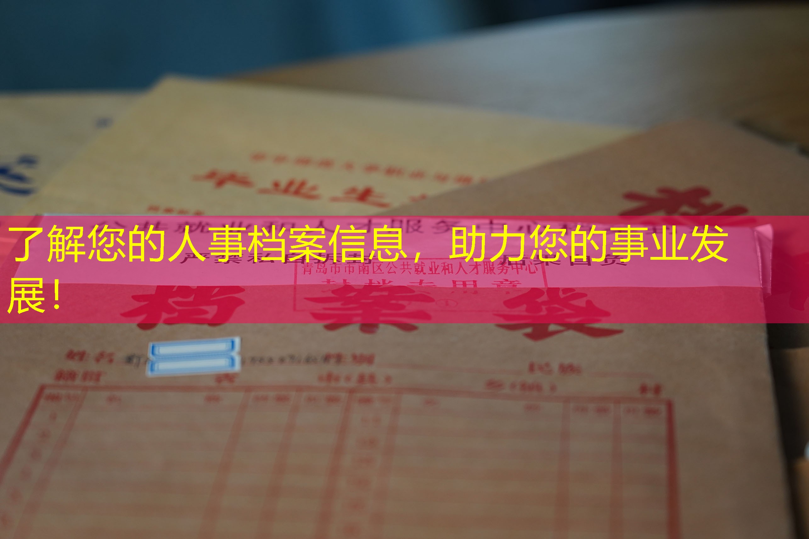 档案查询