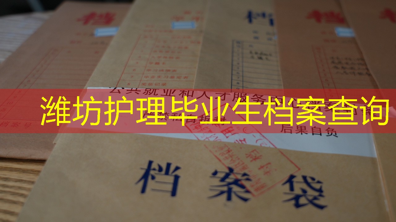 档案查询