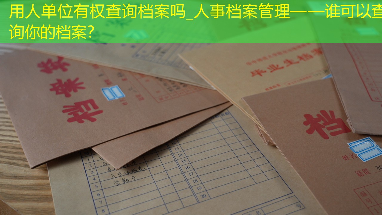 档案查询