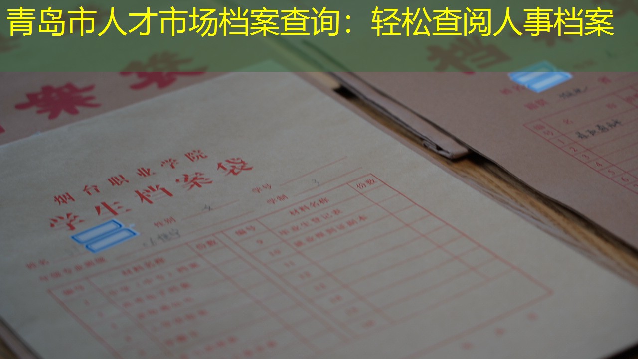 档案查询
