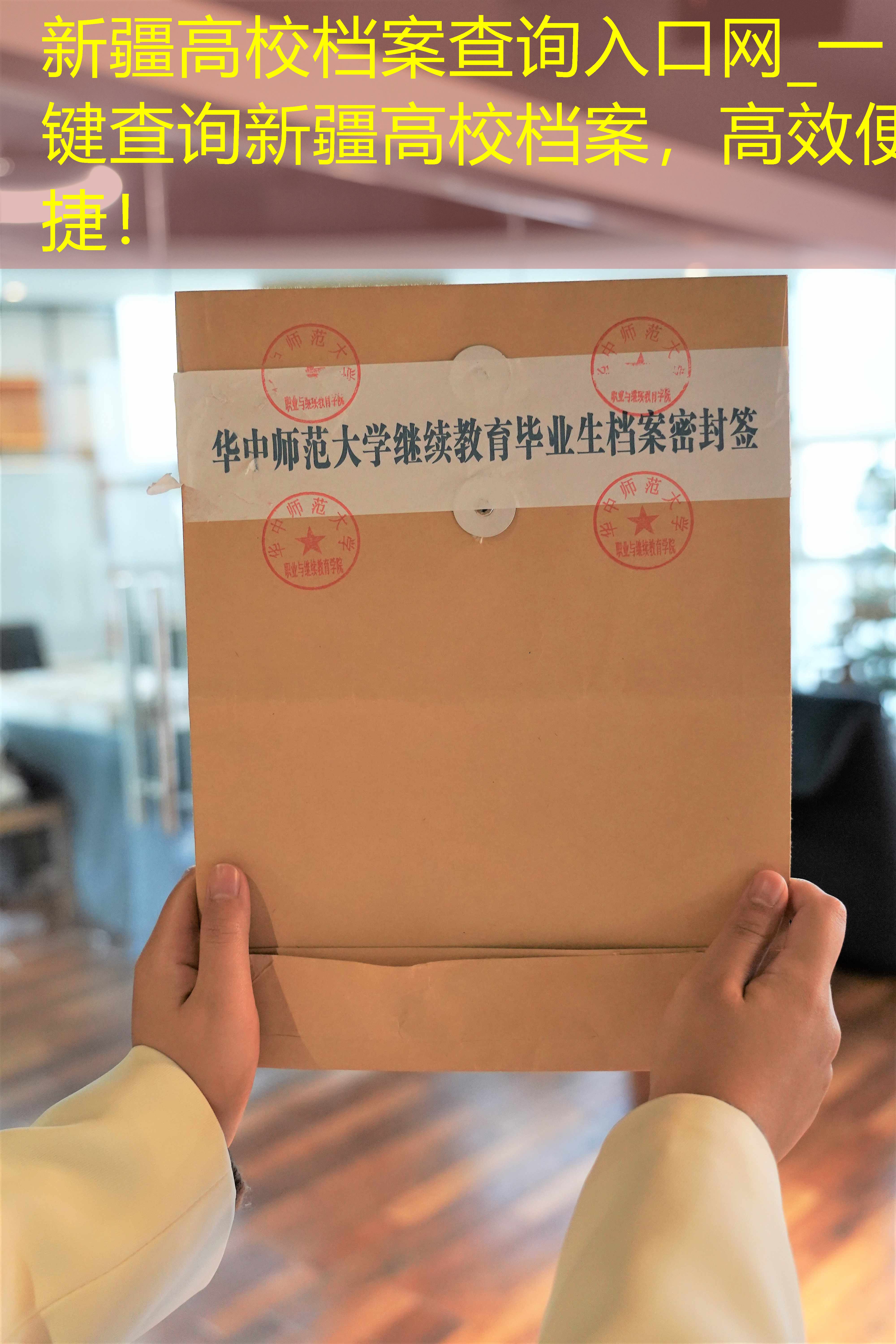 档案查询