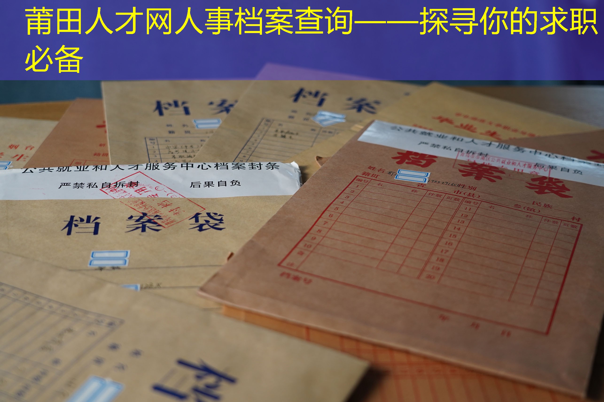 档案查询