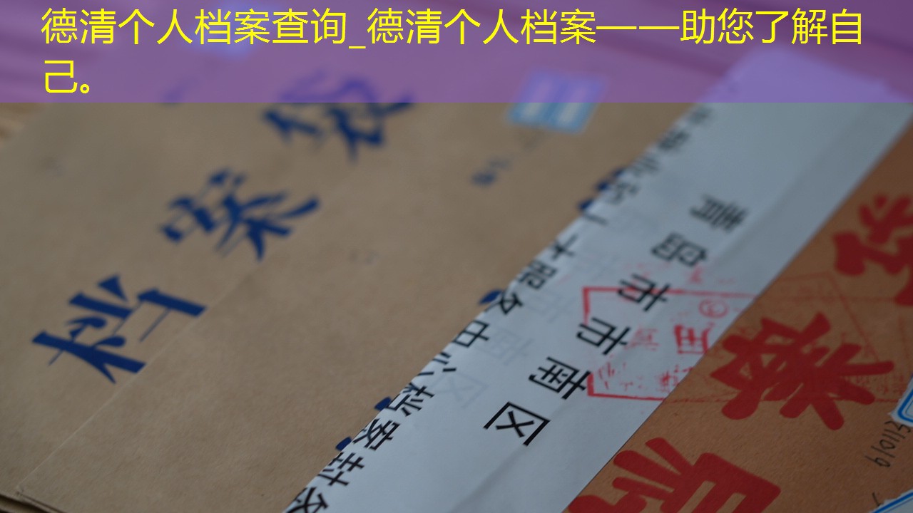 档案查询