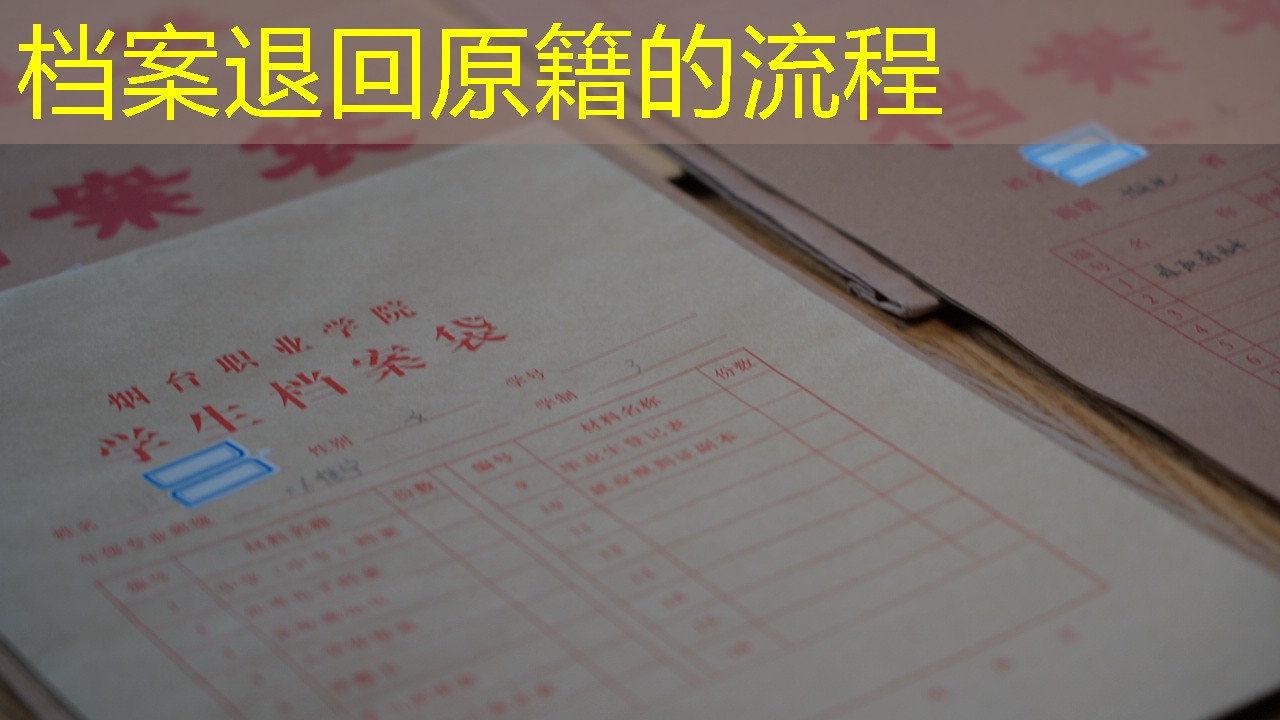 档案查询