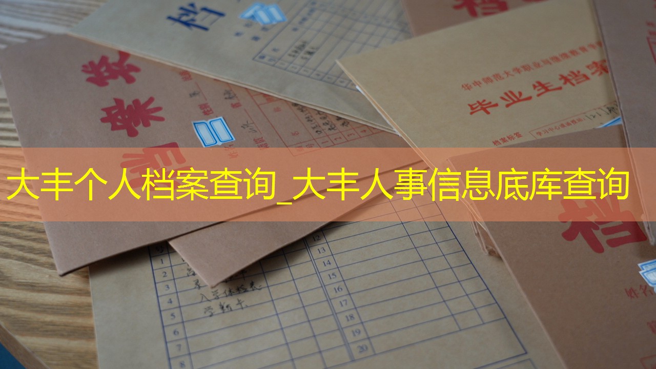 档案查询