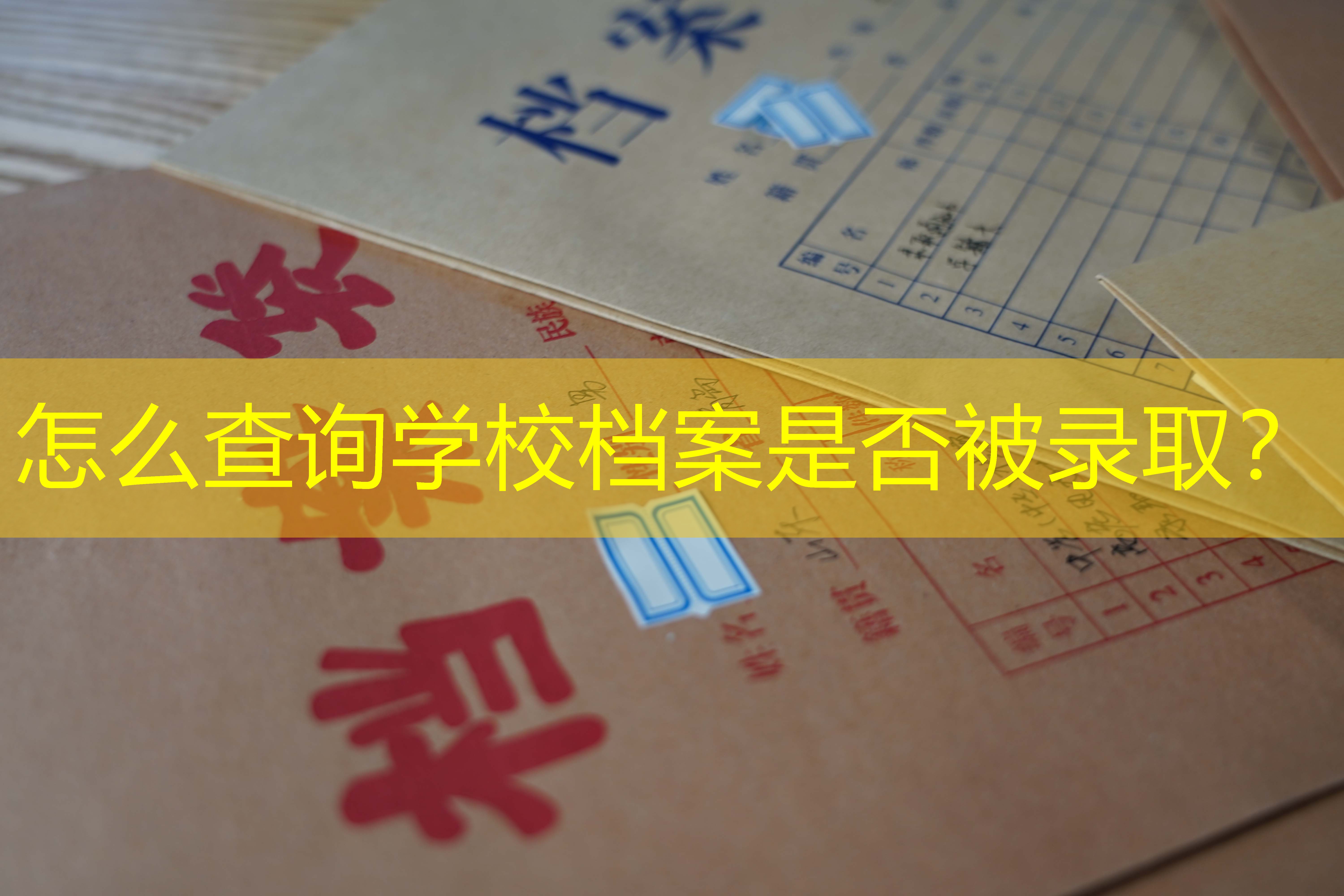 档案查询