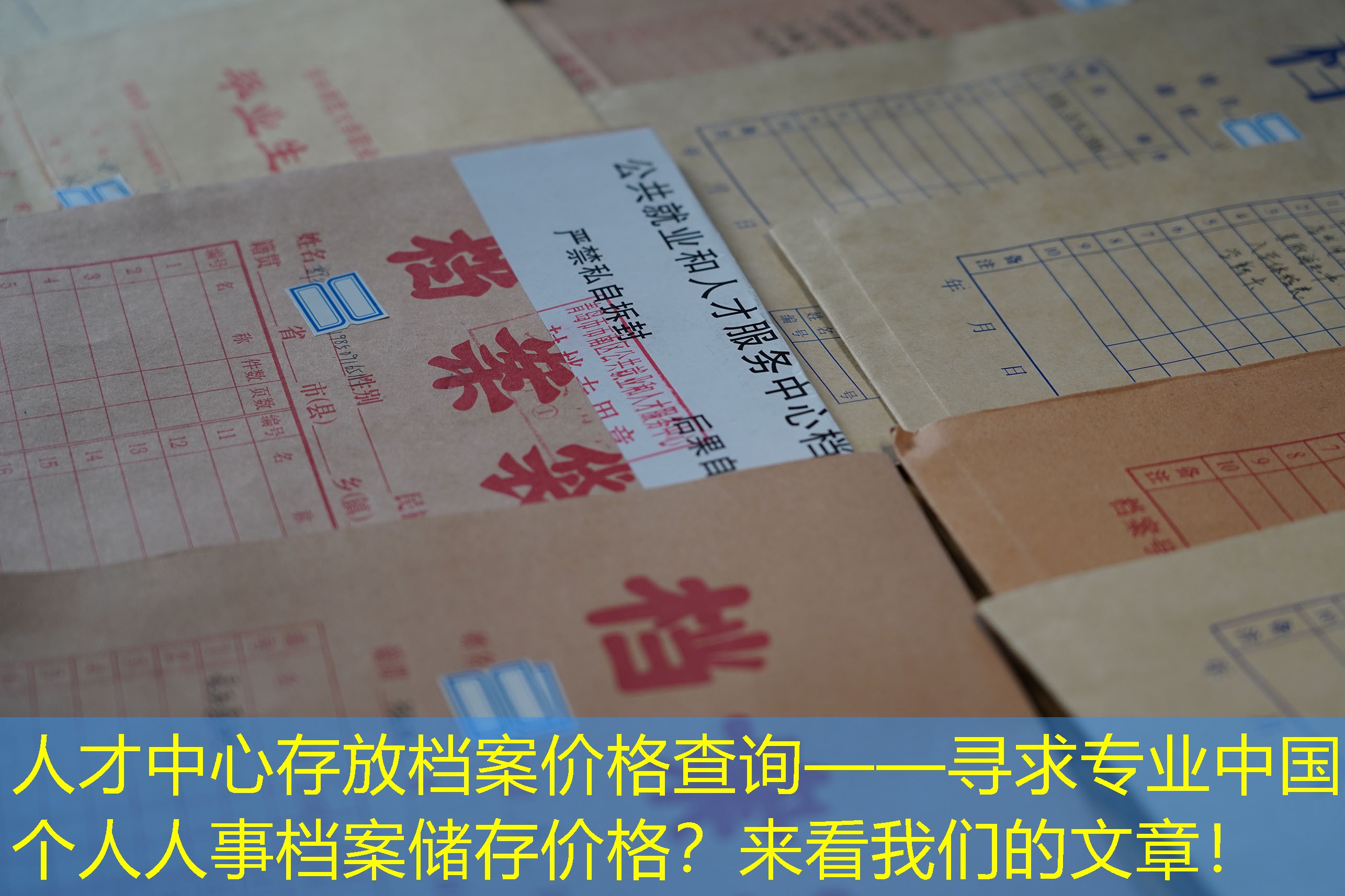 档案查询