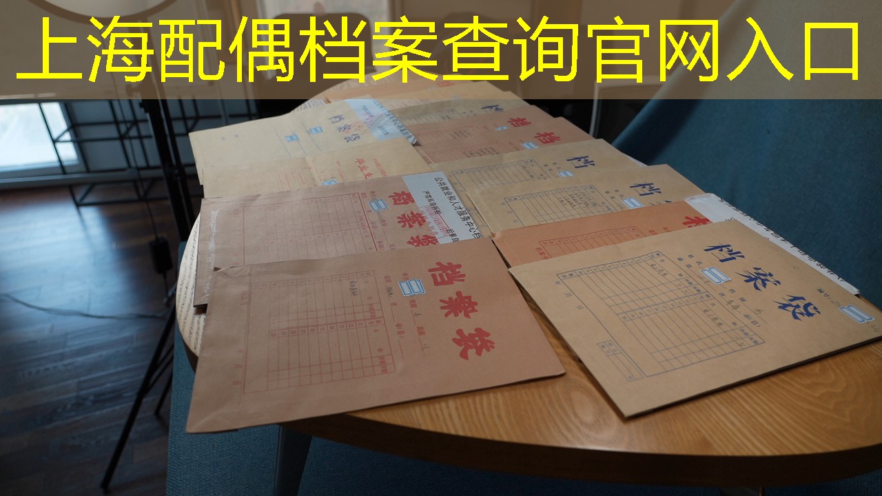 档案查询