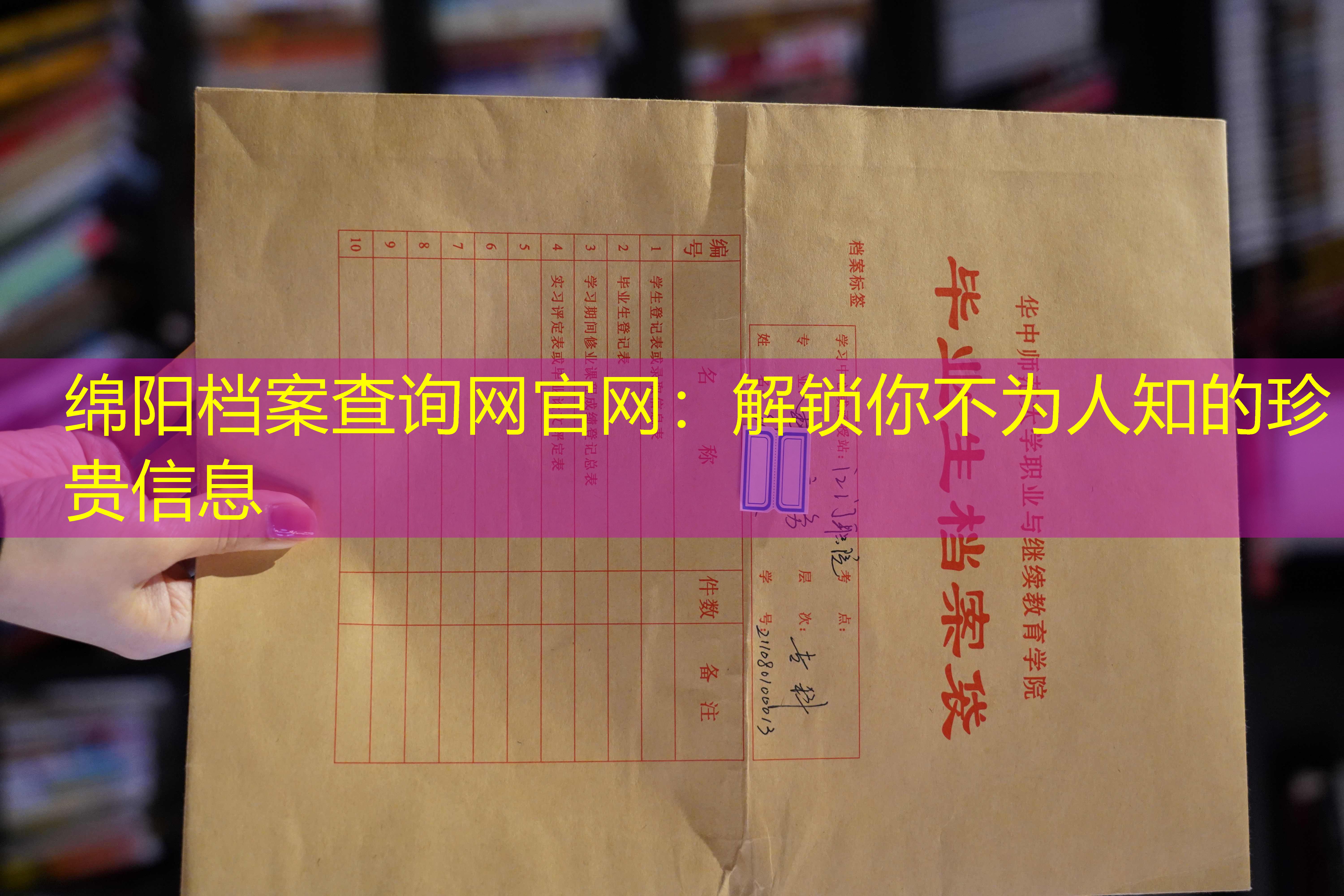 档案查询