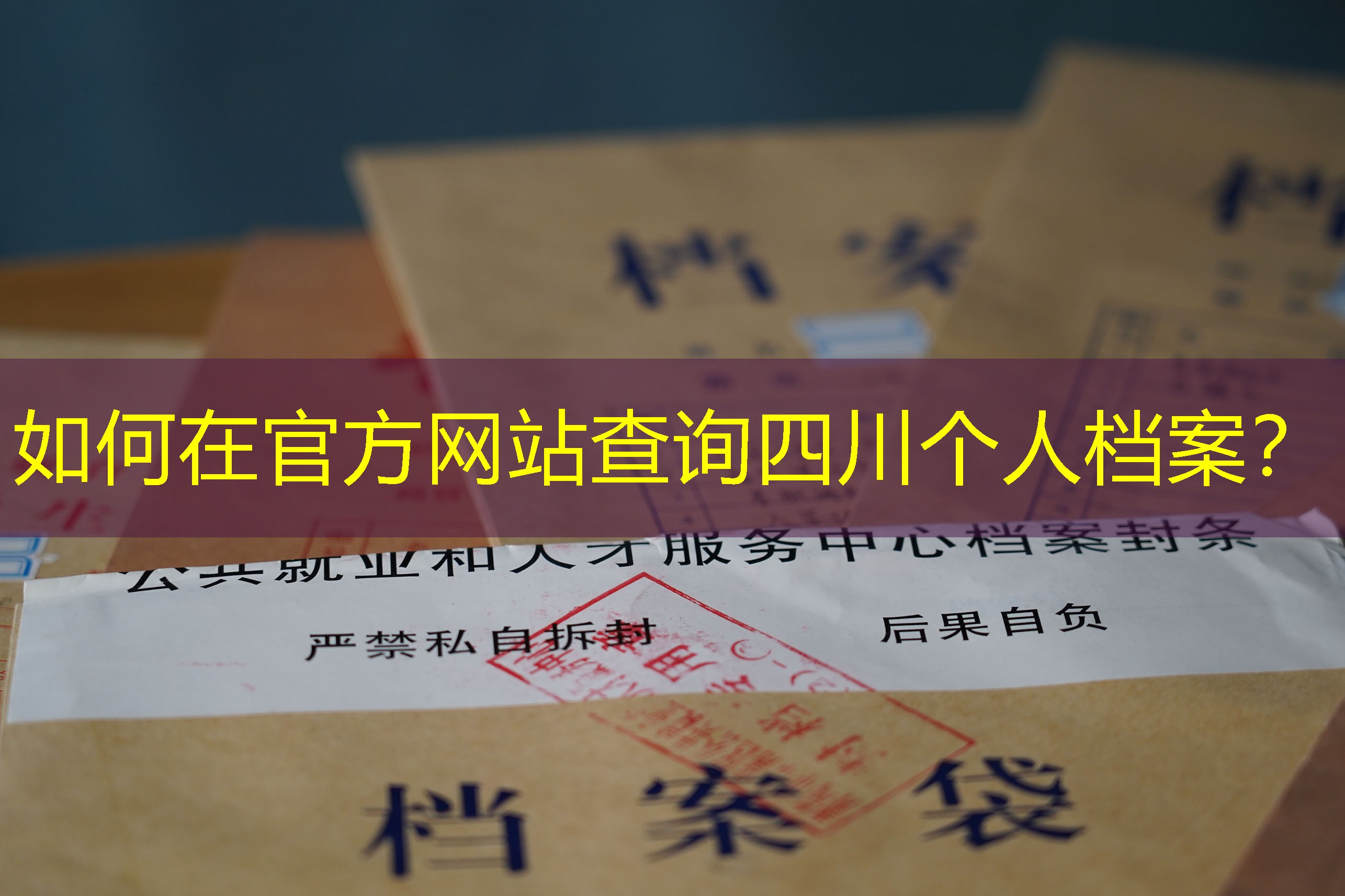 档案查询