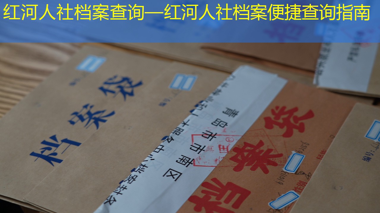 档案查询