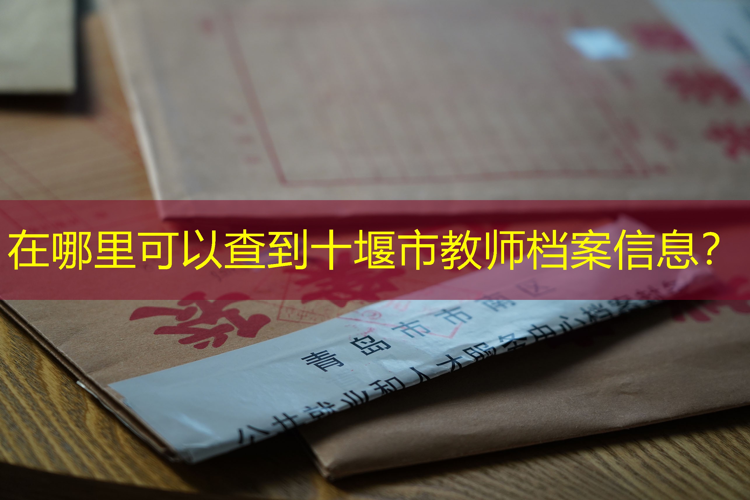 档案查询