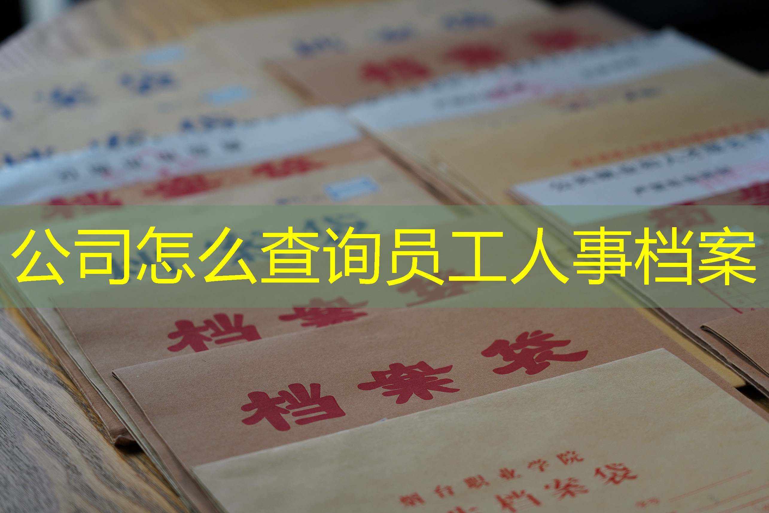 档案查询