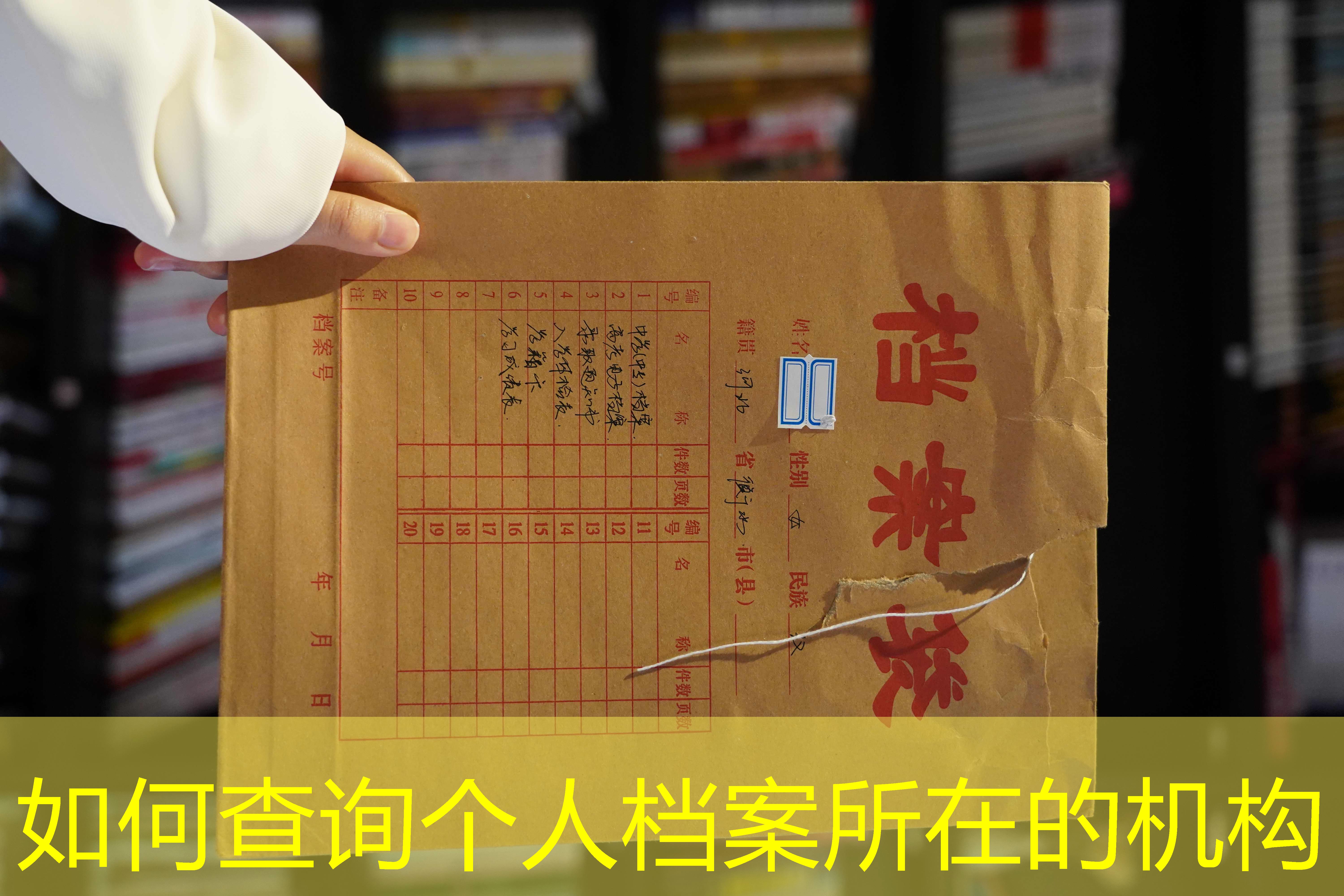 档案查询