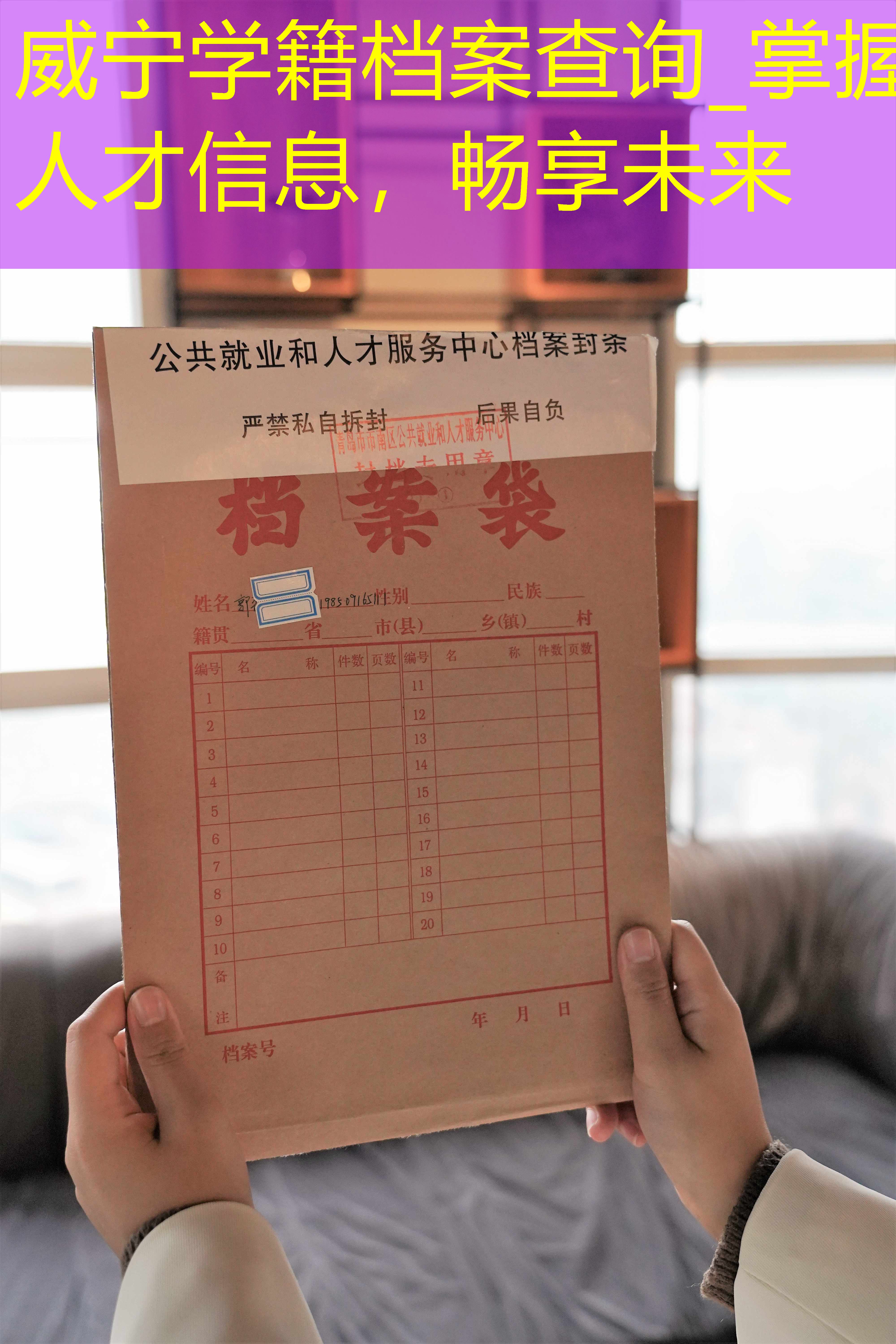 档案查询