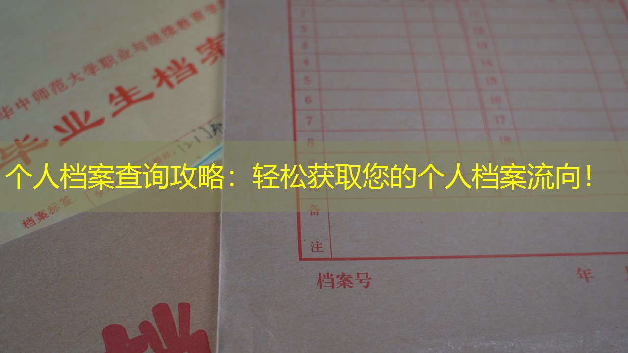 档案查询