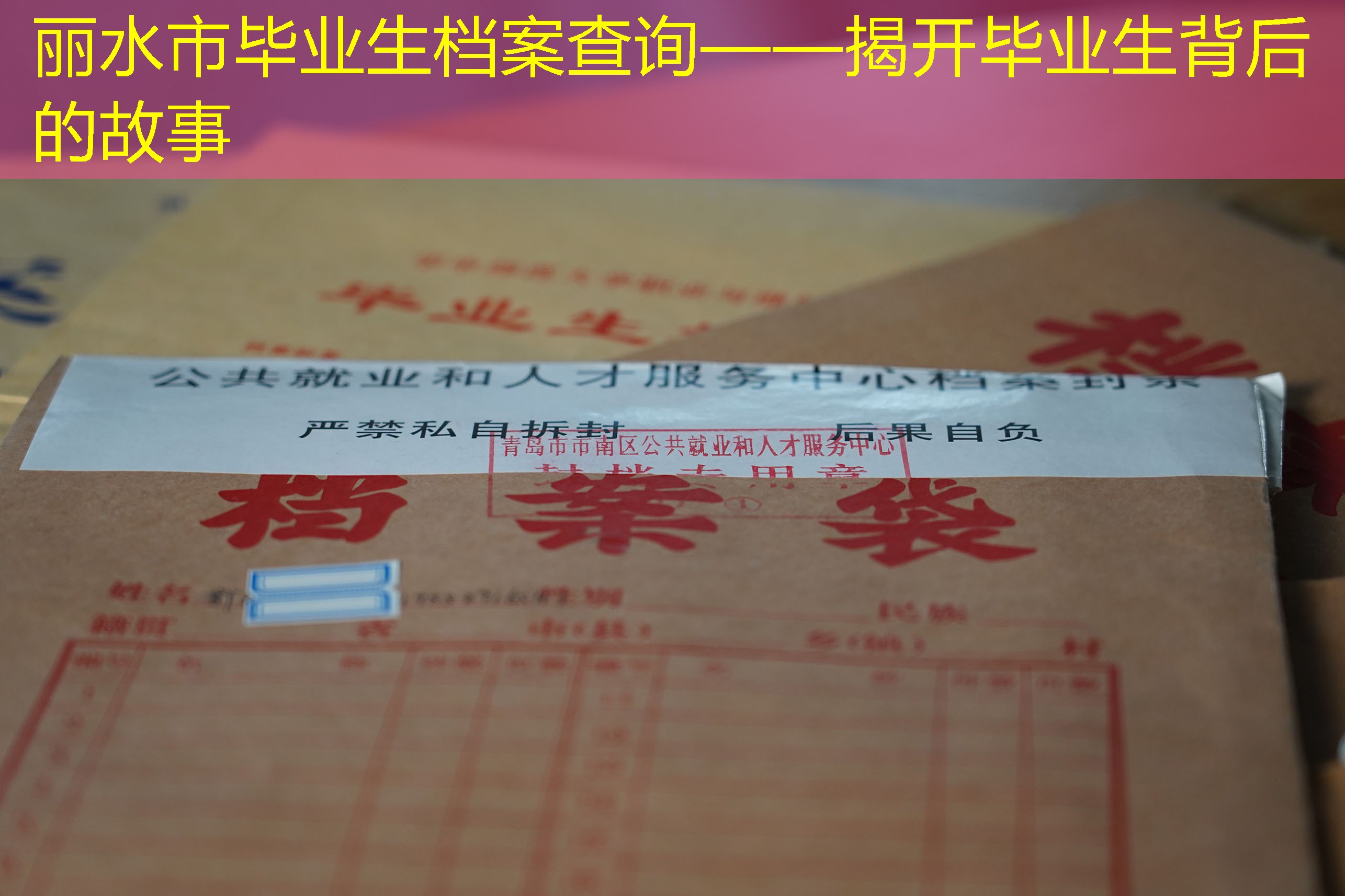 档案查询