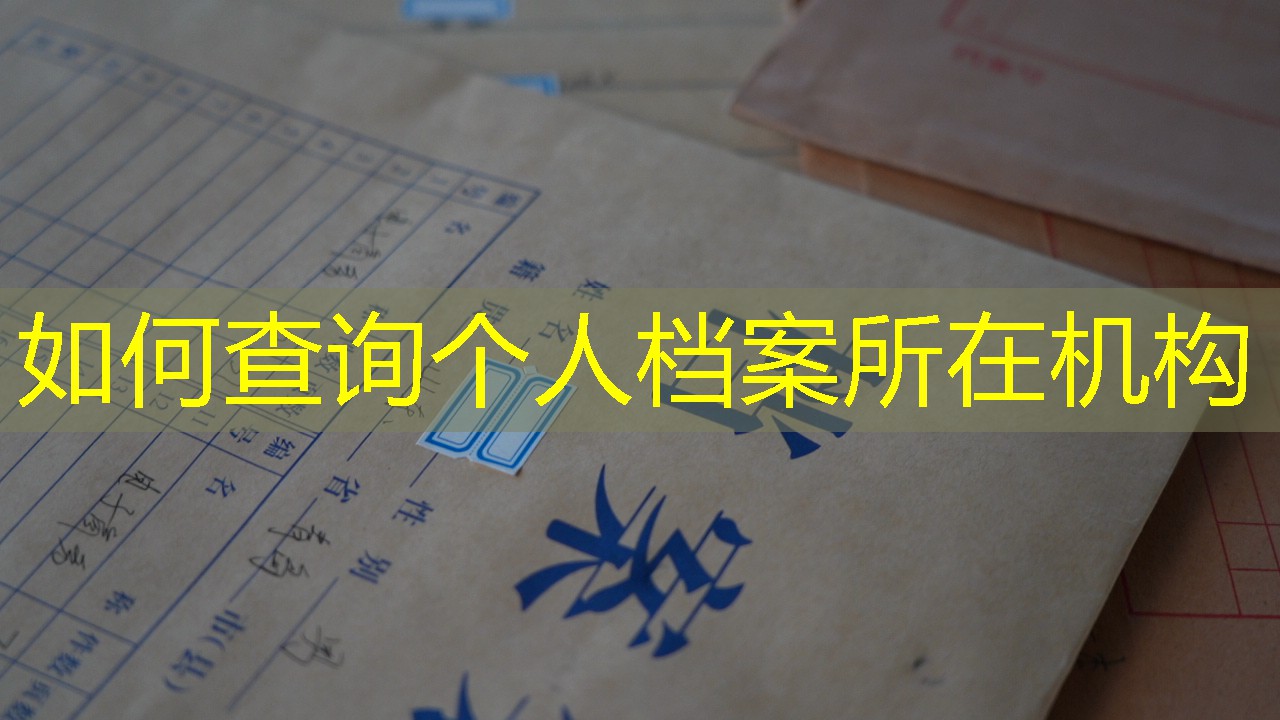 档案查询