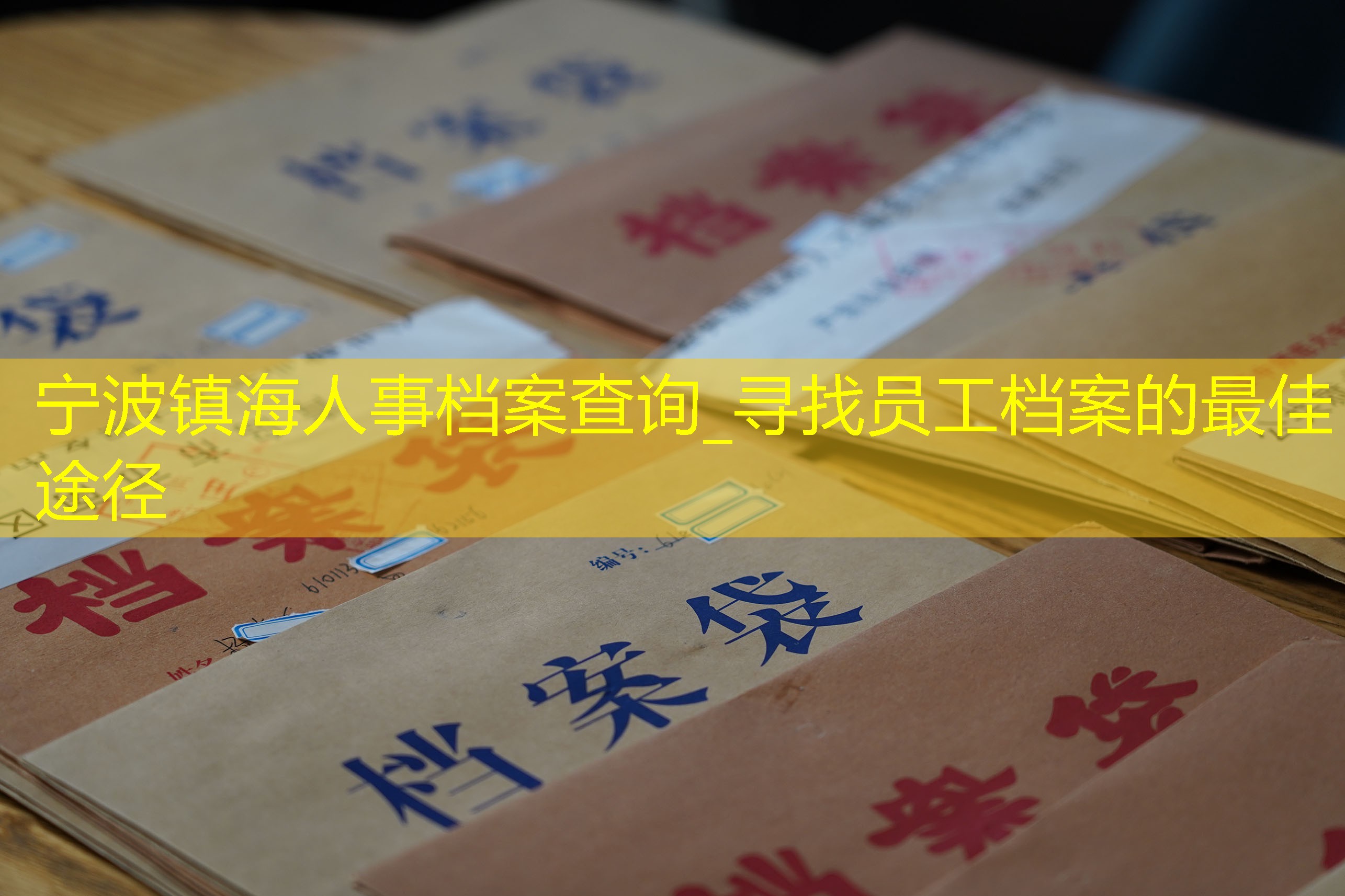 档案查询