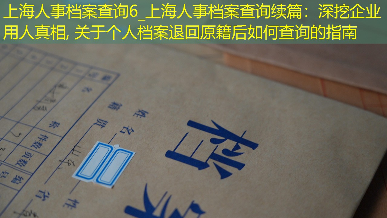 档案查询