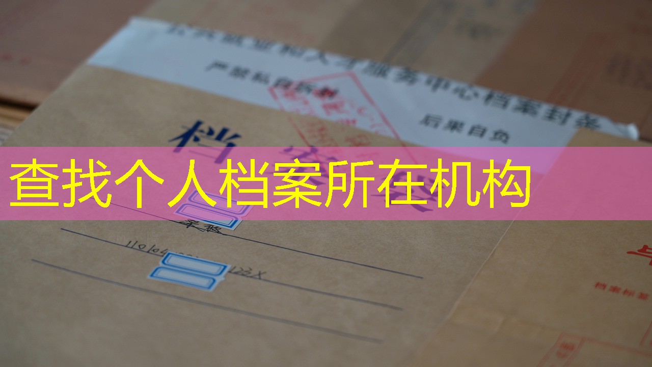 档案查询