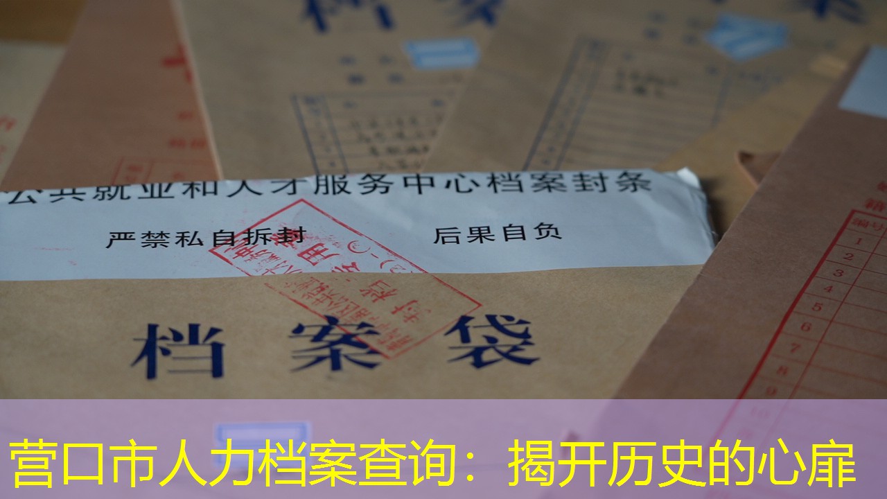 档案查询