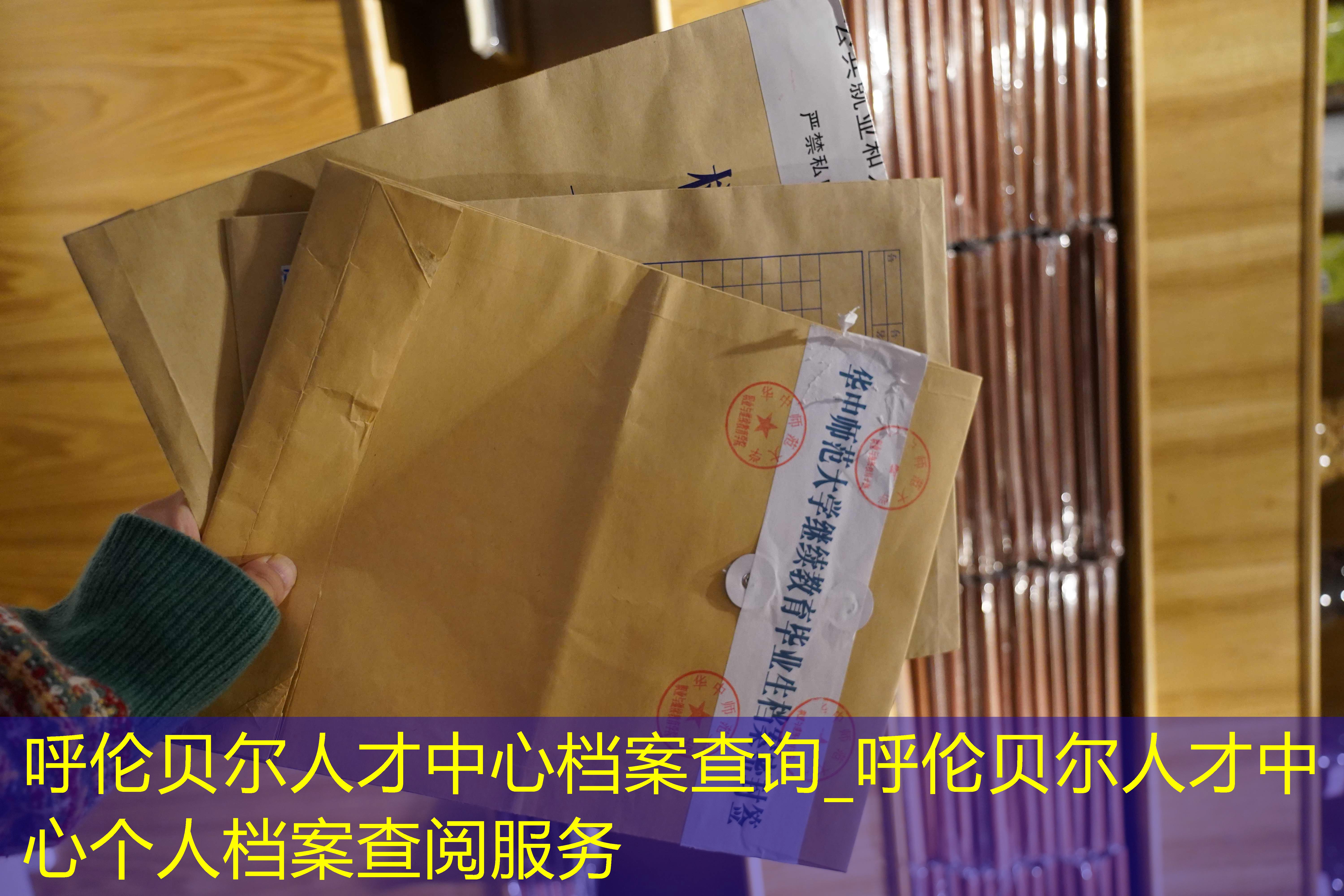 档案查询