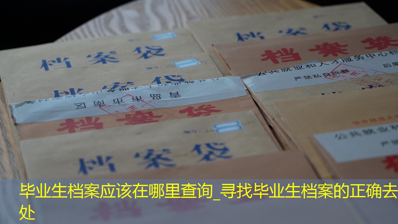 档案查询