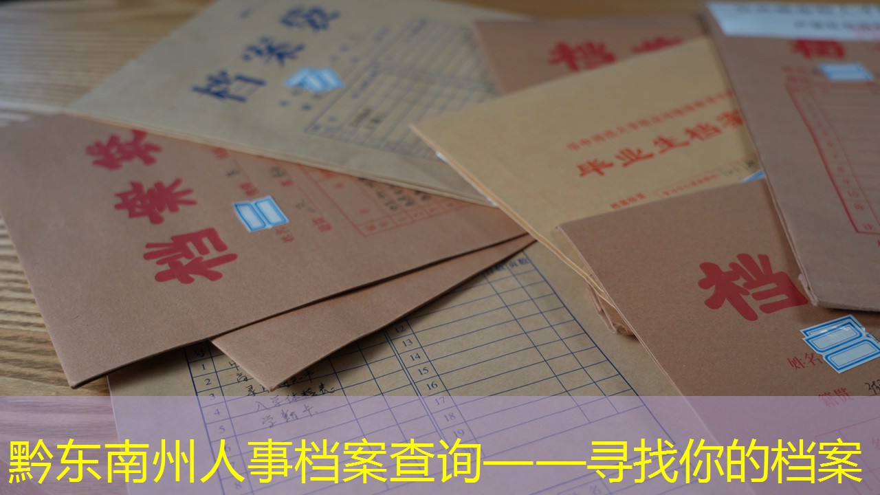 档案查询