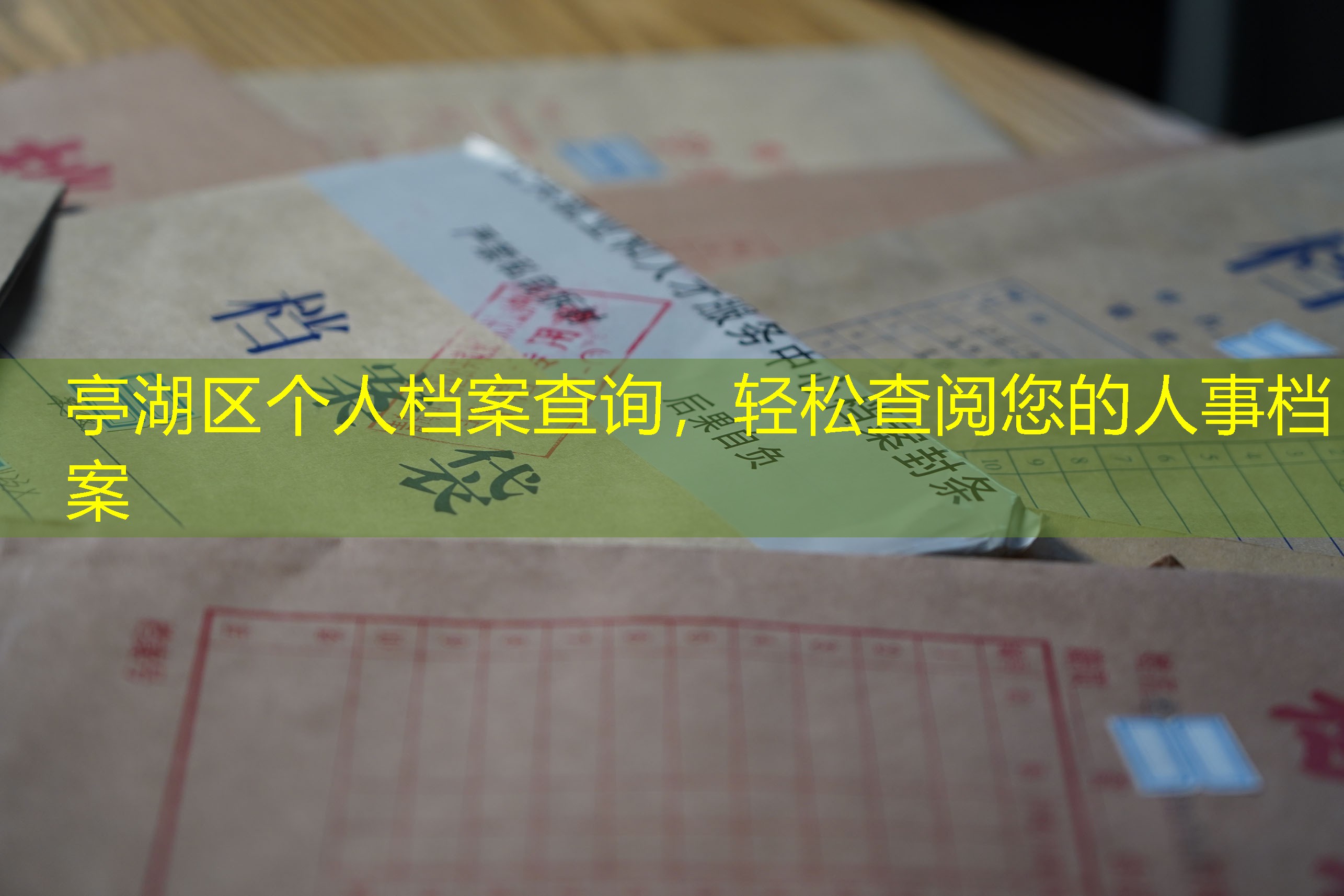 档案查询
