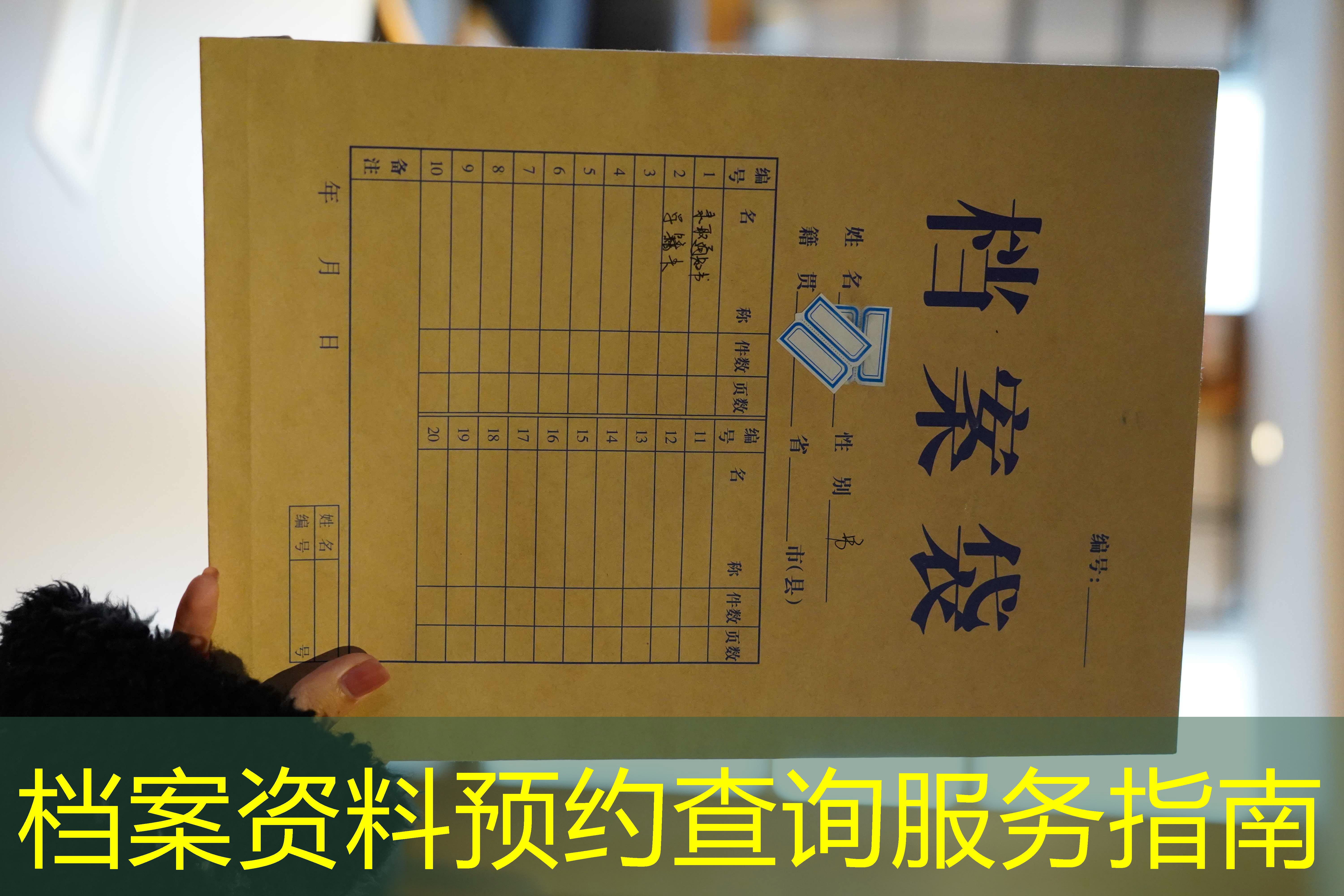 档案查询