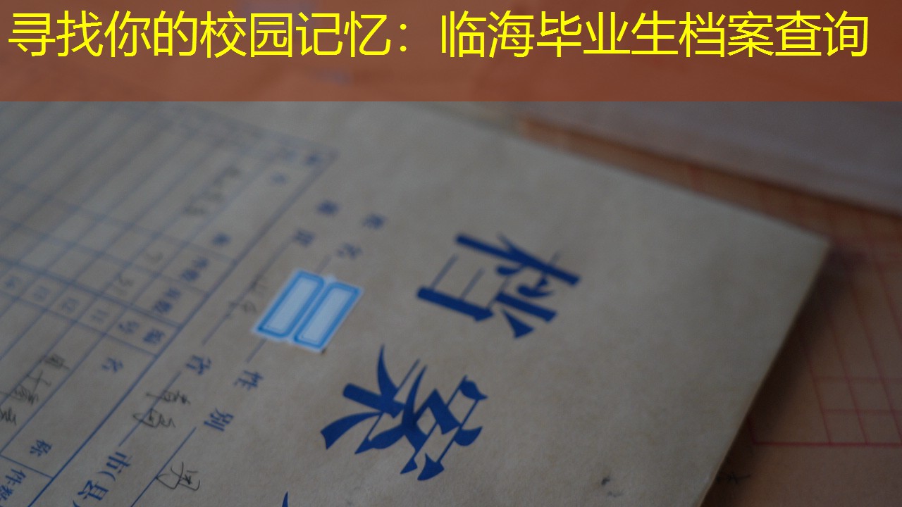 档案查询