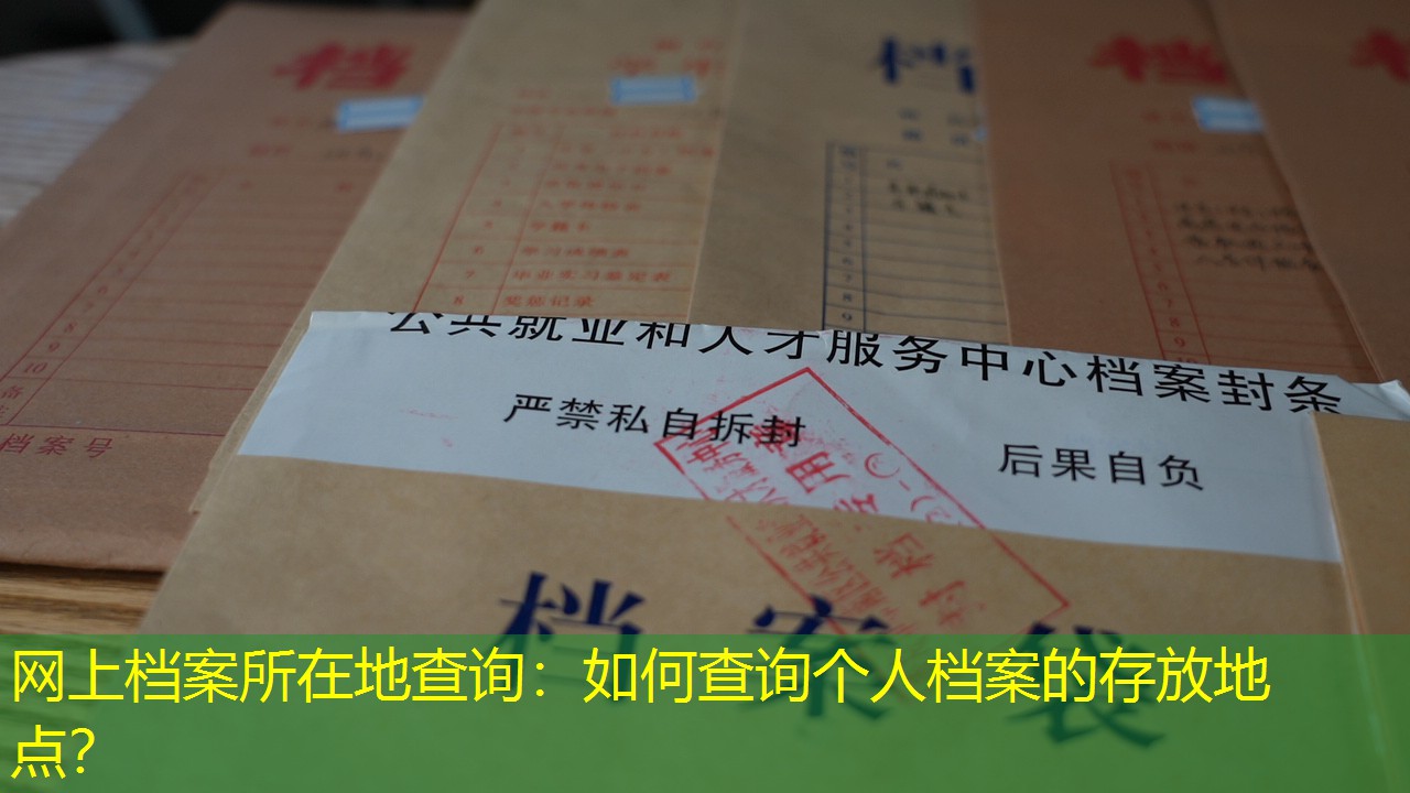 档案查询