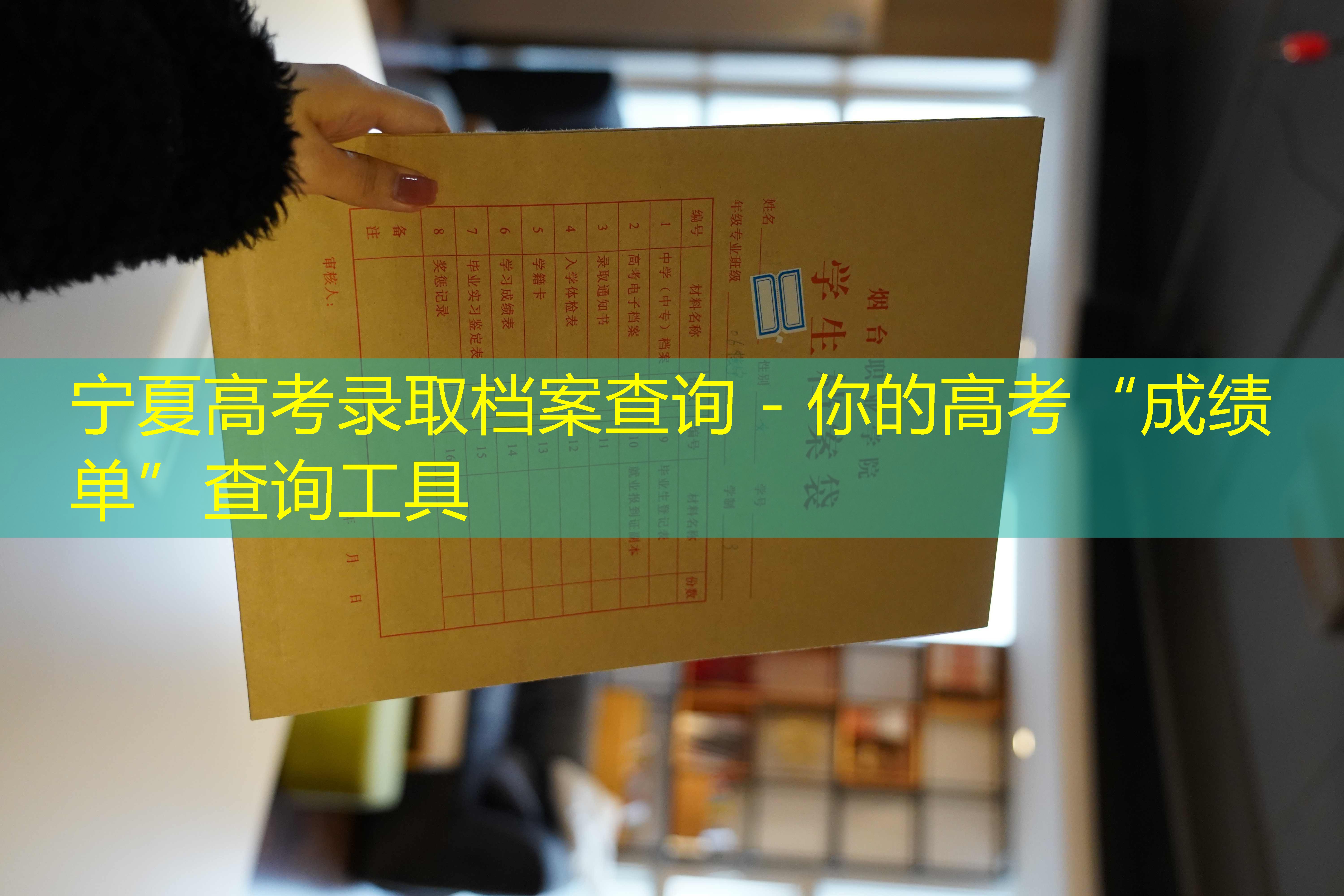 档案查询