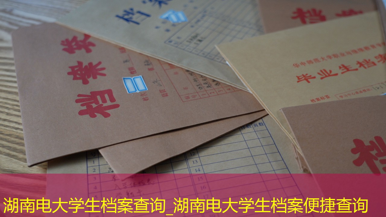 档案查询