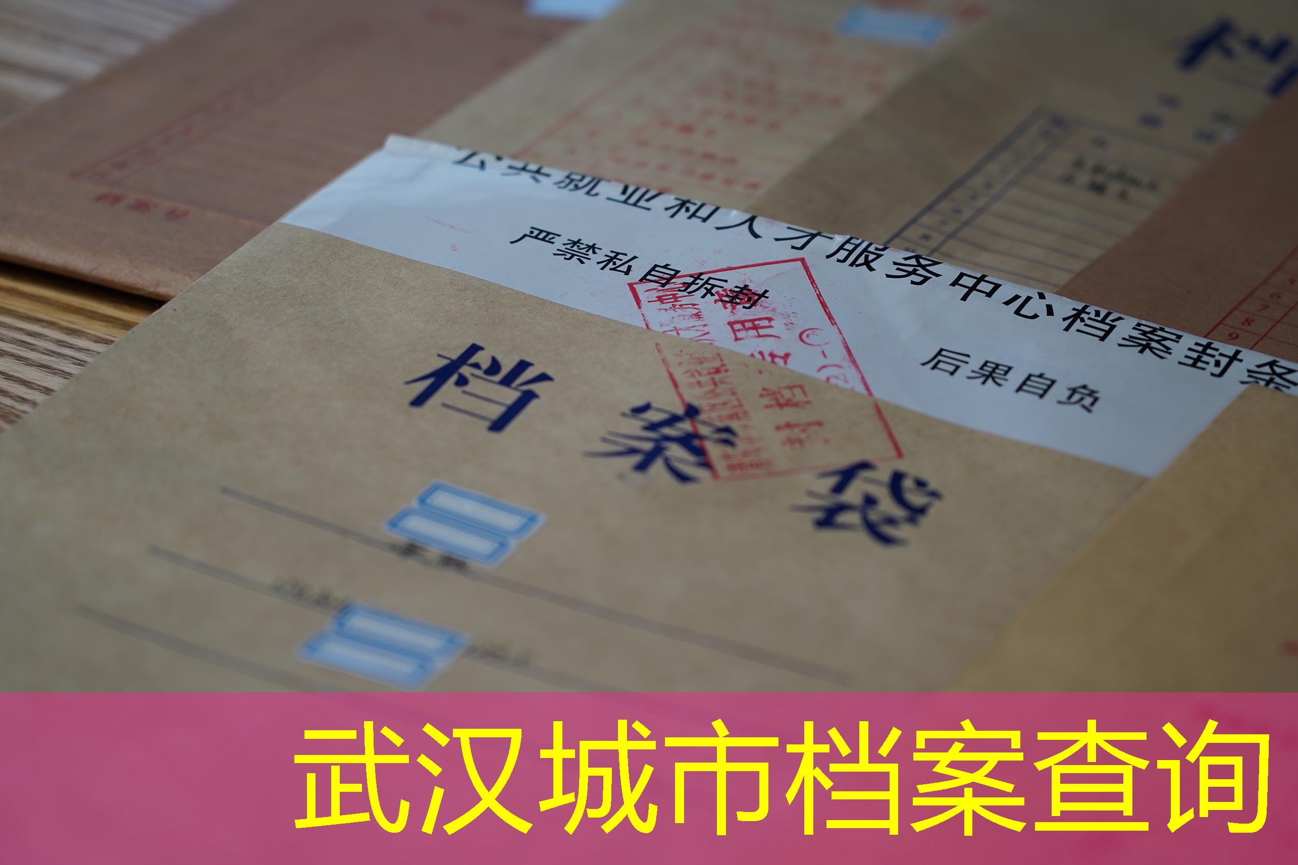 档案查询