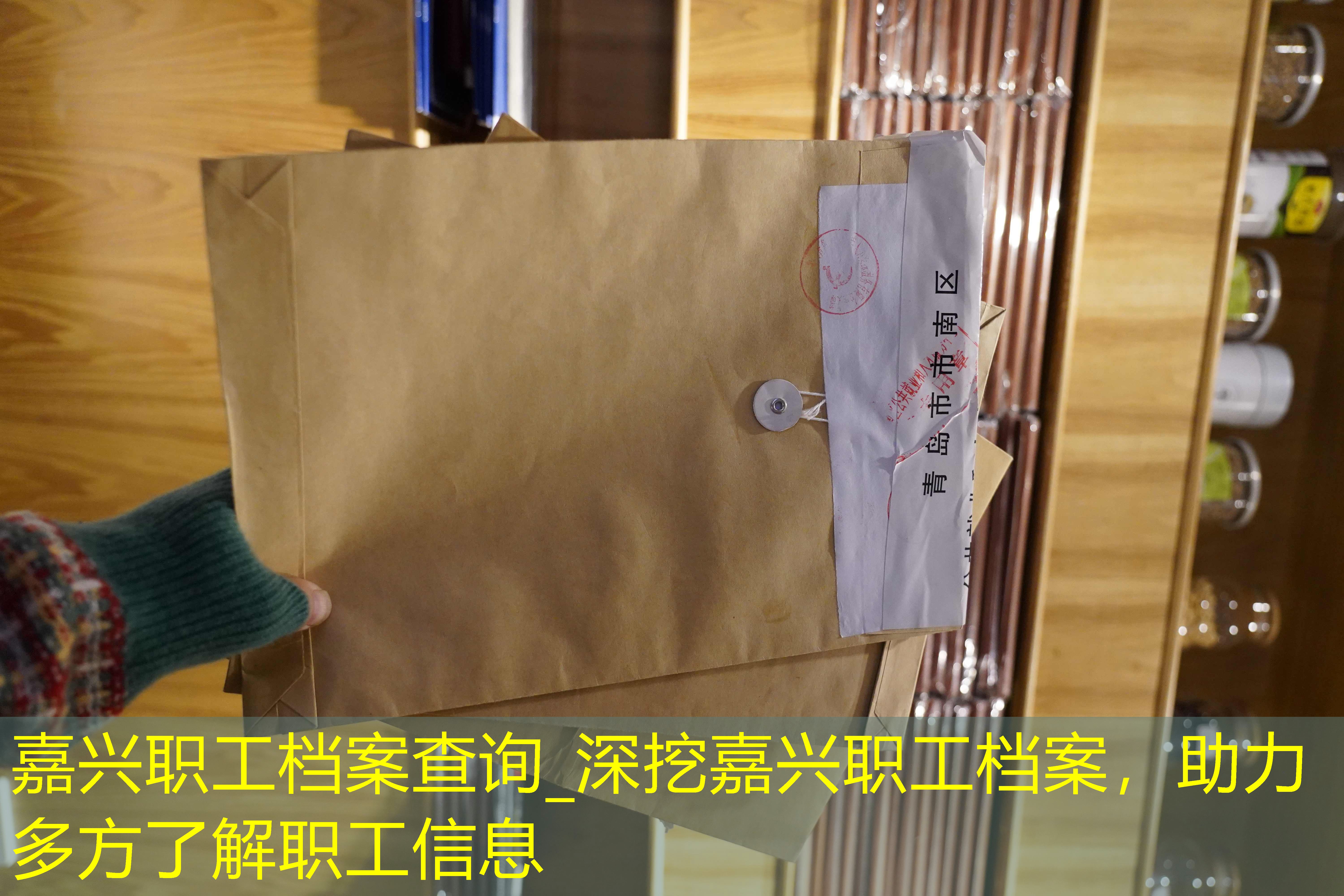 档案查询