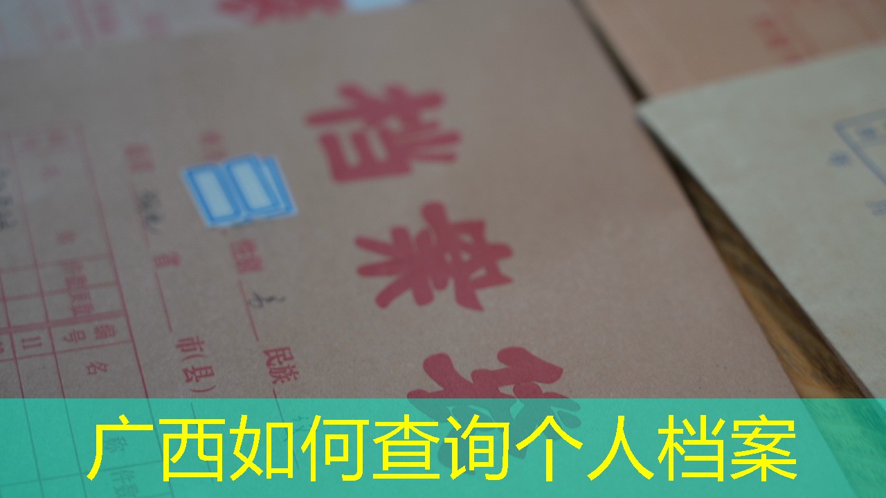 档案查询