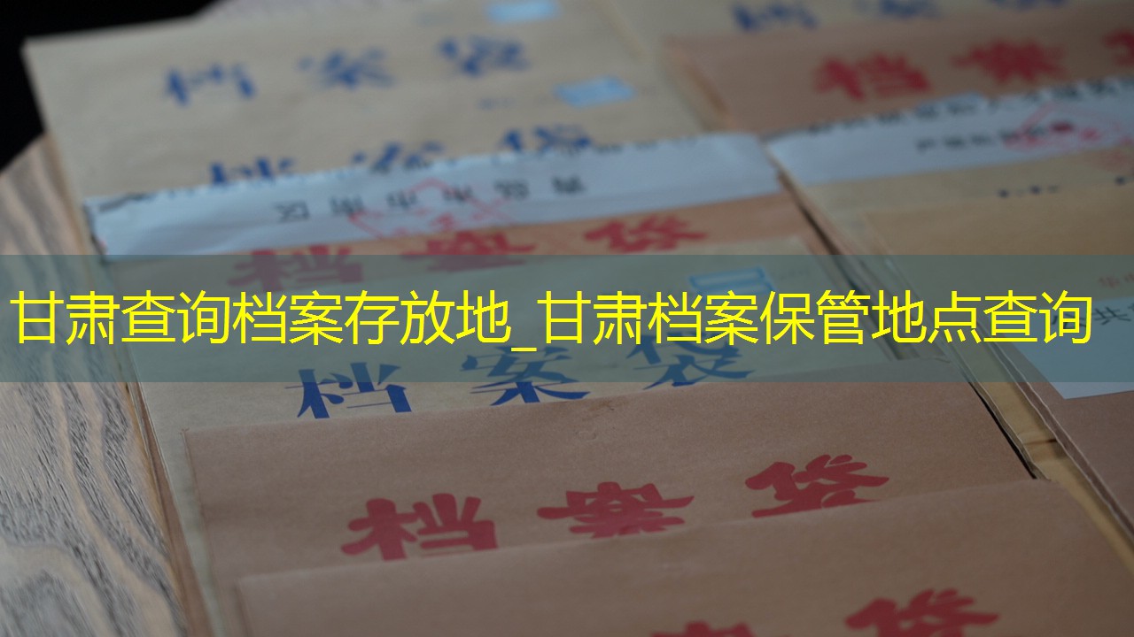档案查询